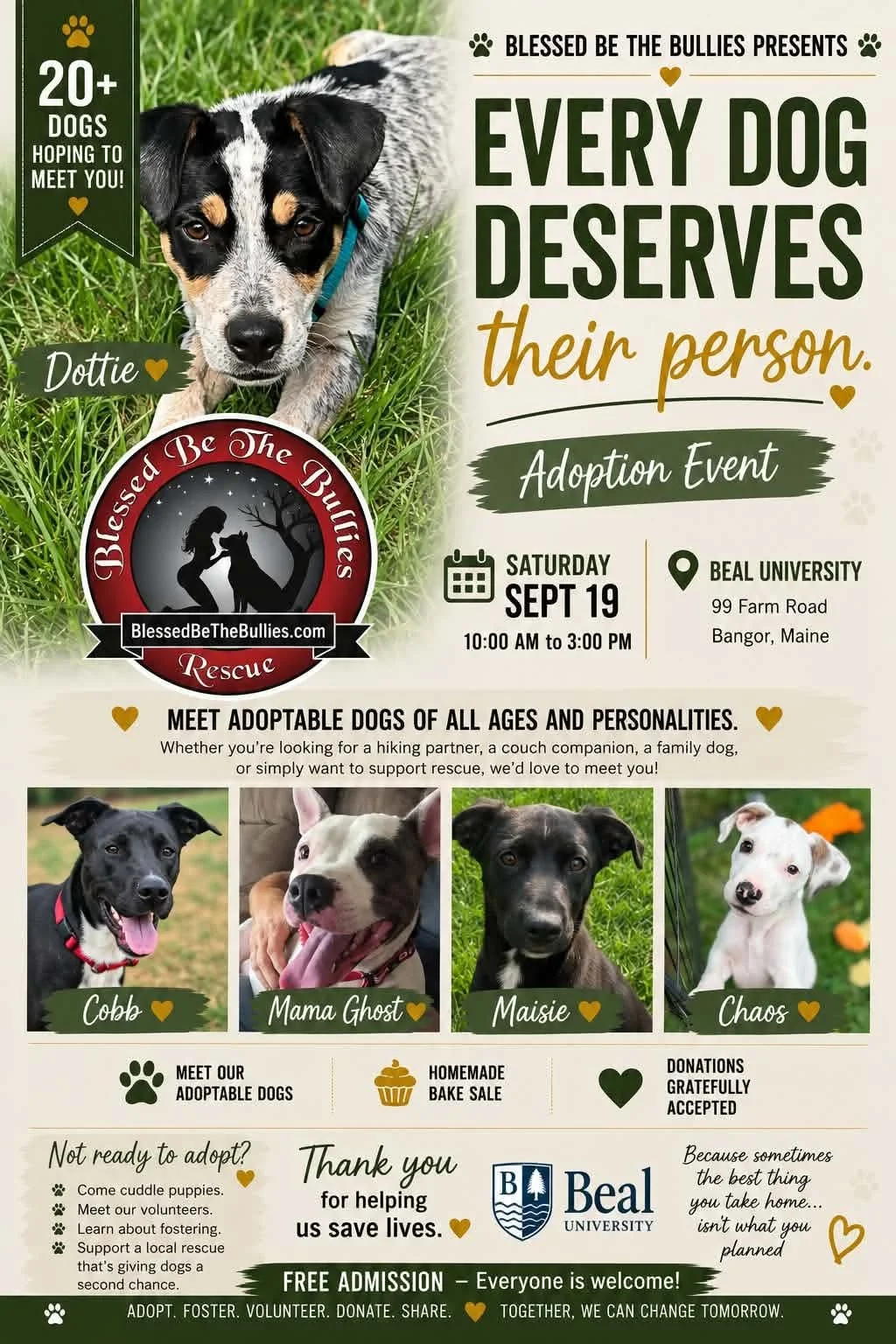 Adoption Event at Beal University