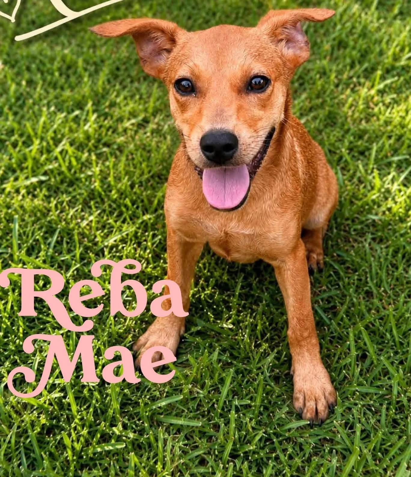 Reba Mae 