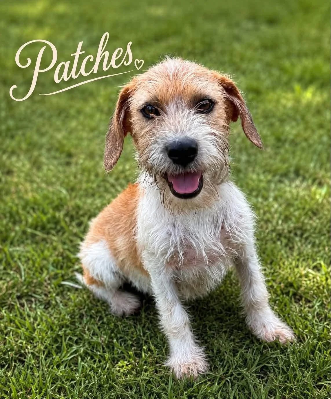 Patches