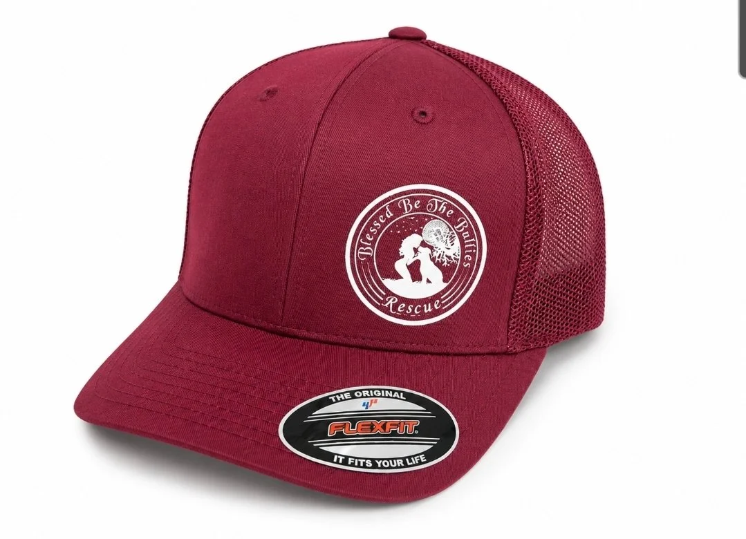 BBTB Logo FlexFit Hats