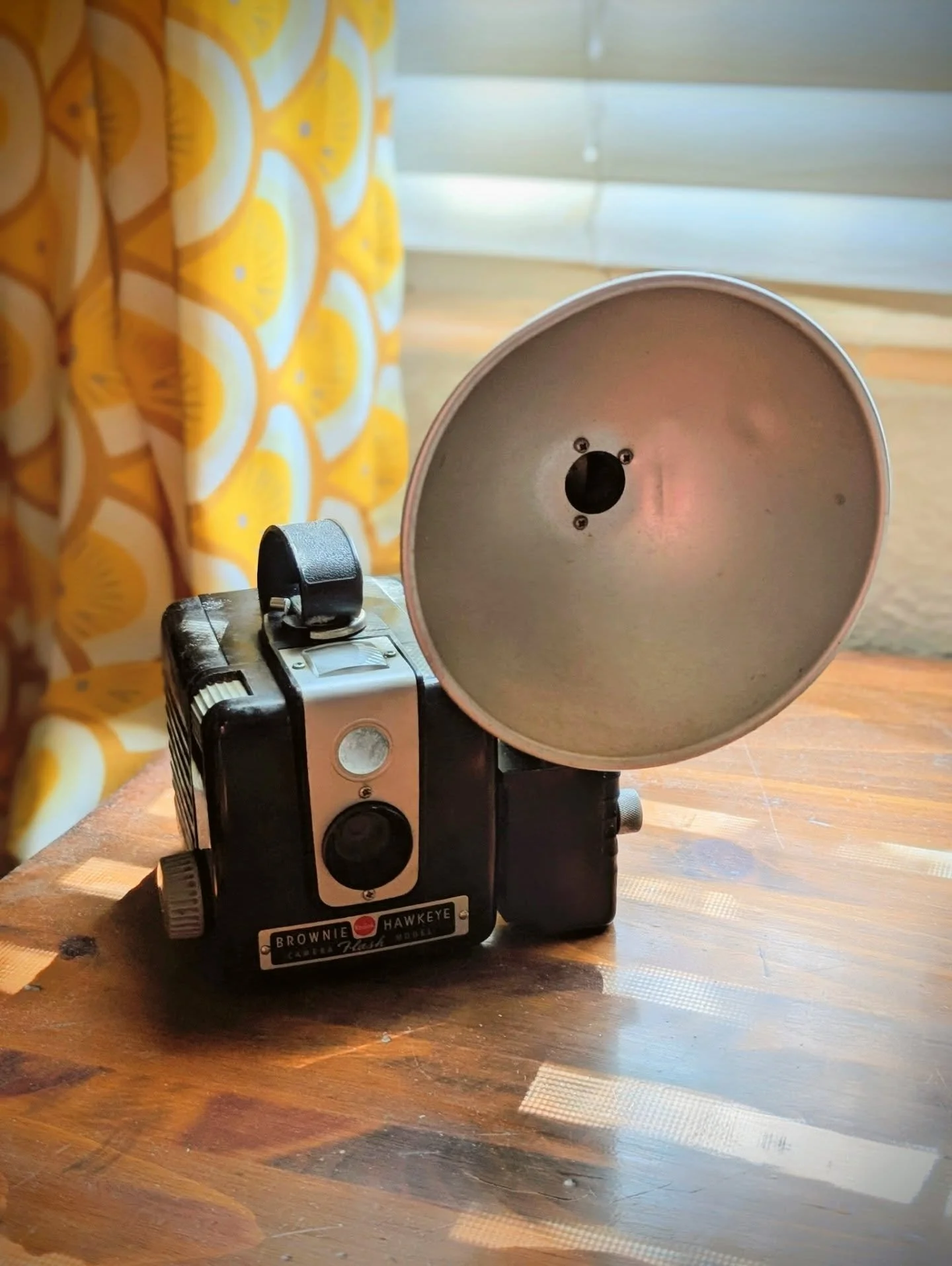 Save room for dessert  #brownie #film #vintagevibes #filmmaking #kodak