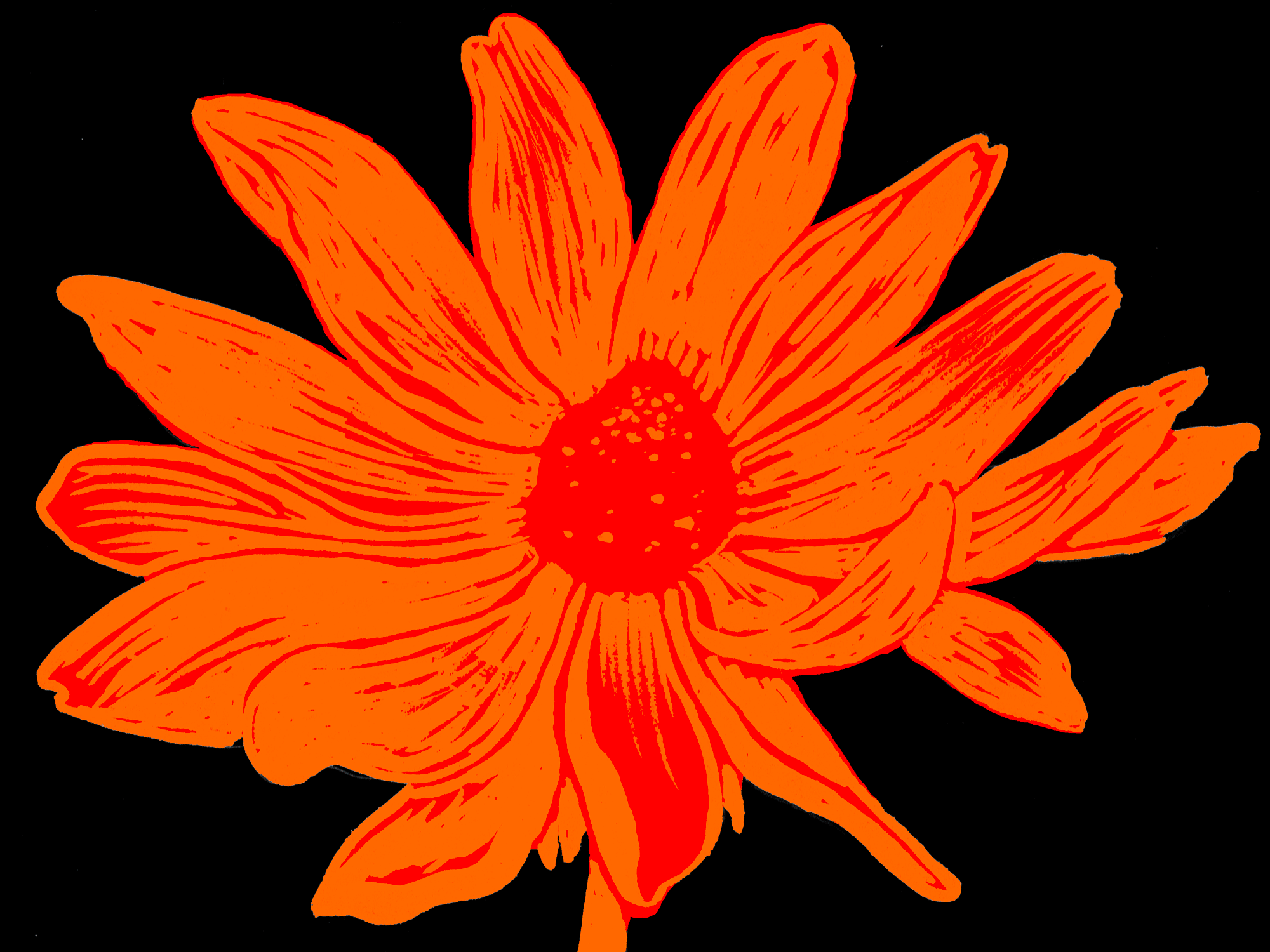 bnw-bandaflower6.png
