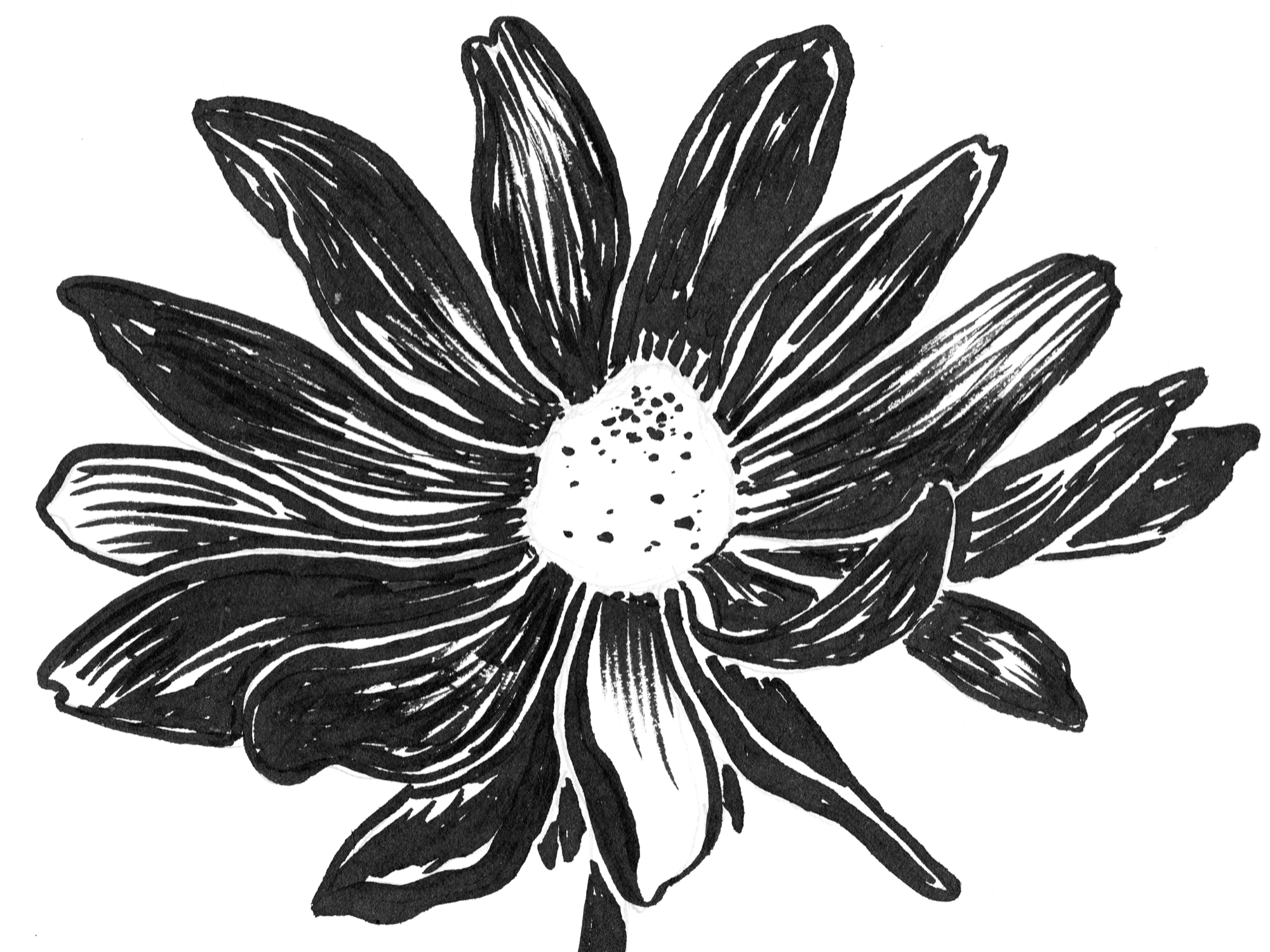 bnw-bandaflower5.png