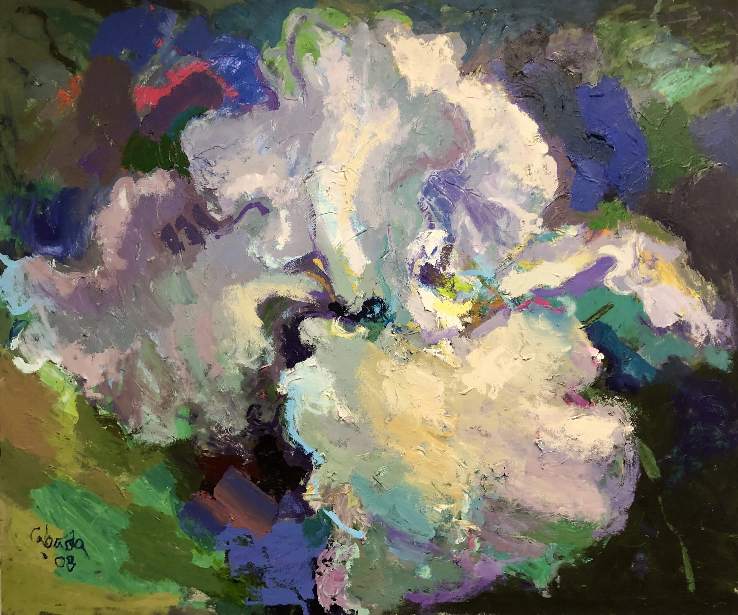 White Iris, 2008, Acrylic on Canvas, 68 x 82  PRIVATE COLLECTION