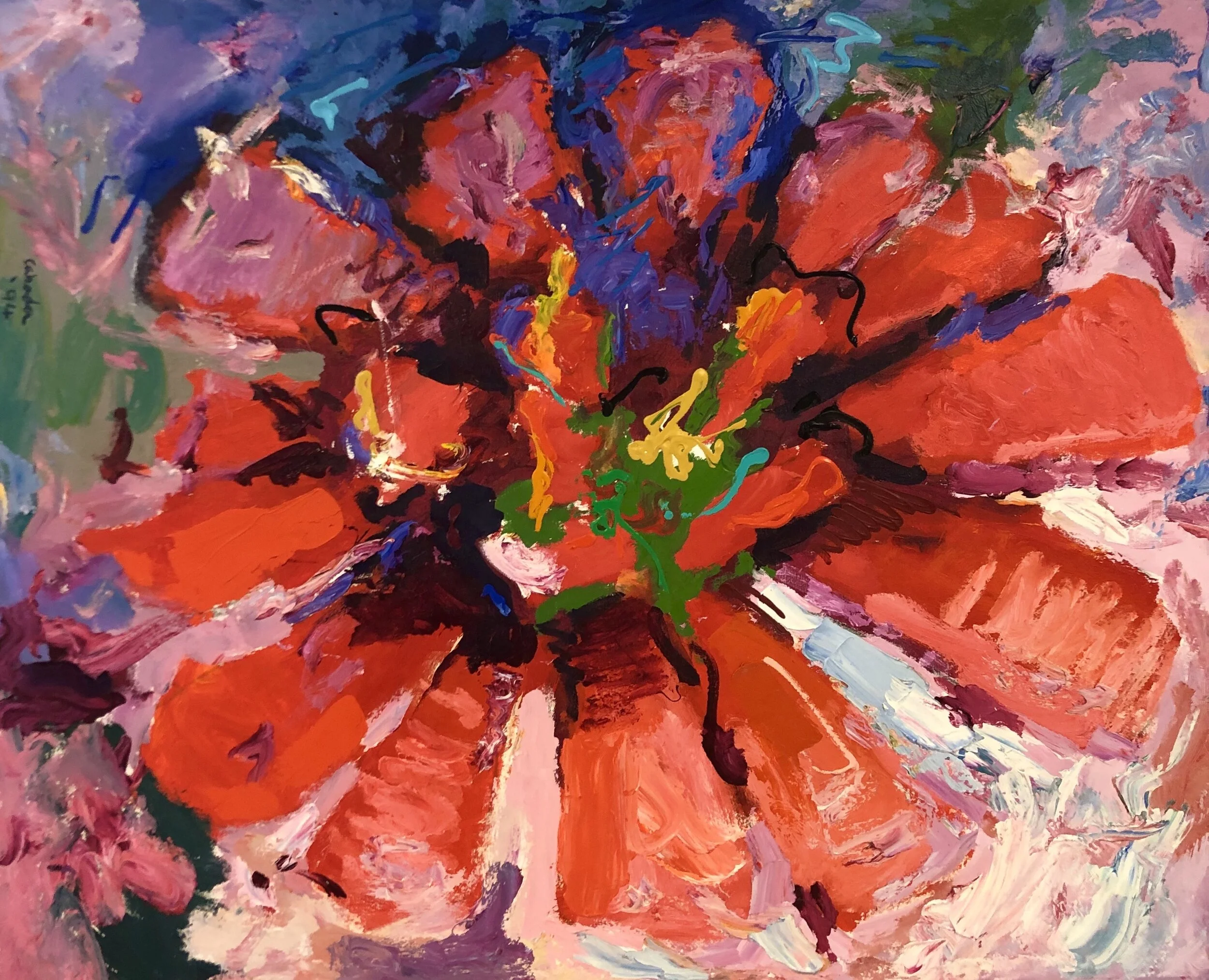 Red Zinnia, 1994, Acrylic on canvas, 48 x 60 PRIVATE COLLECTION
