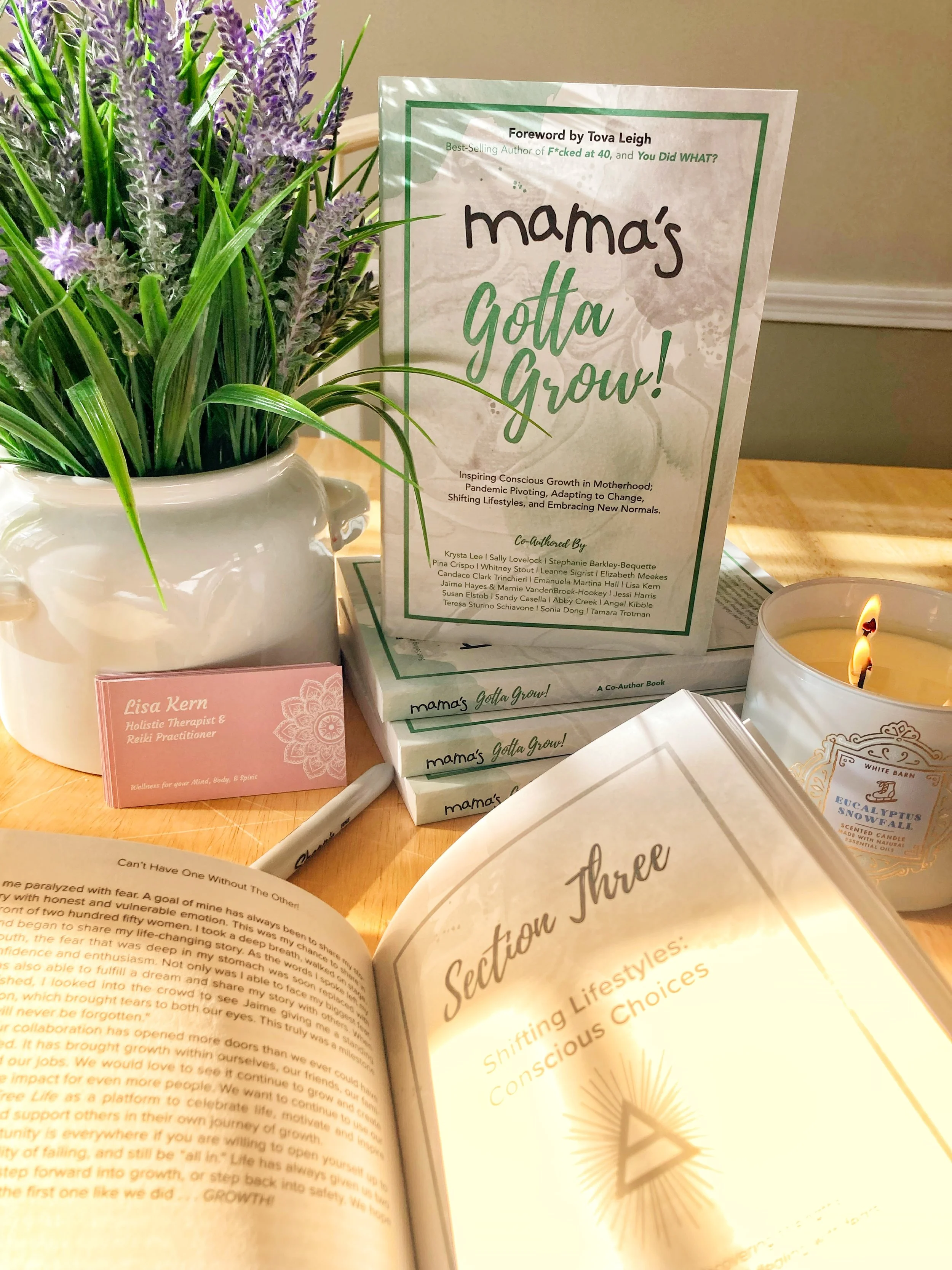 Mama's Gotta Grow bestselling motherhood book and anthology featuring Lisa Kern