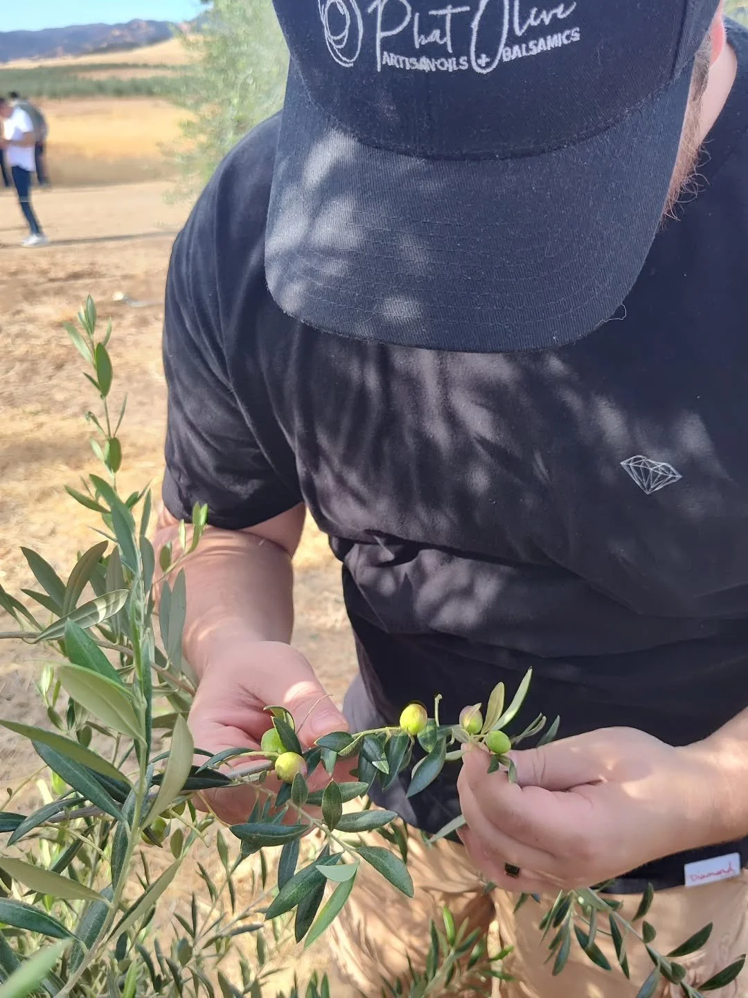 Happy Earth Day 🌎🫒
From olives on the tree to what's in your bottle, we're taking a moment to appreciate where it all begins.