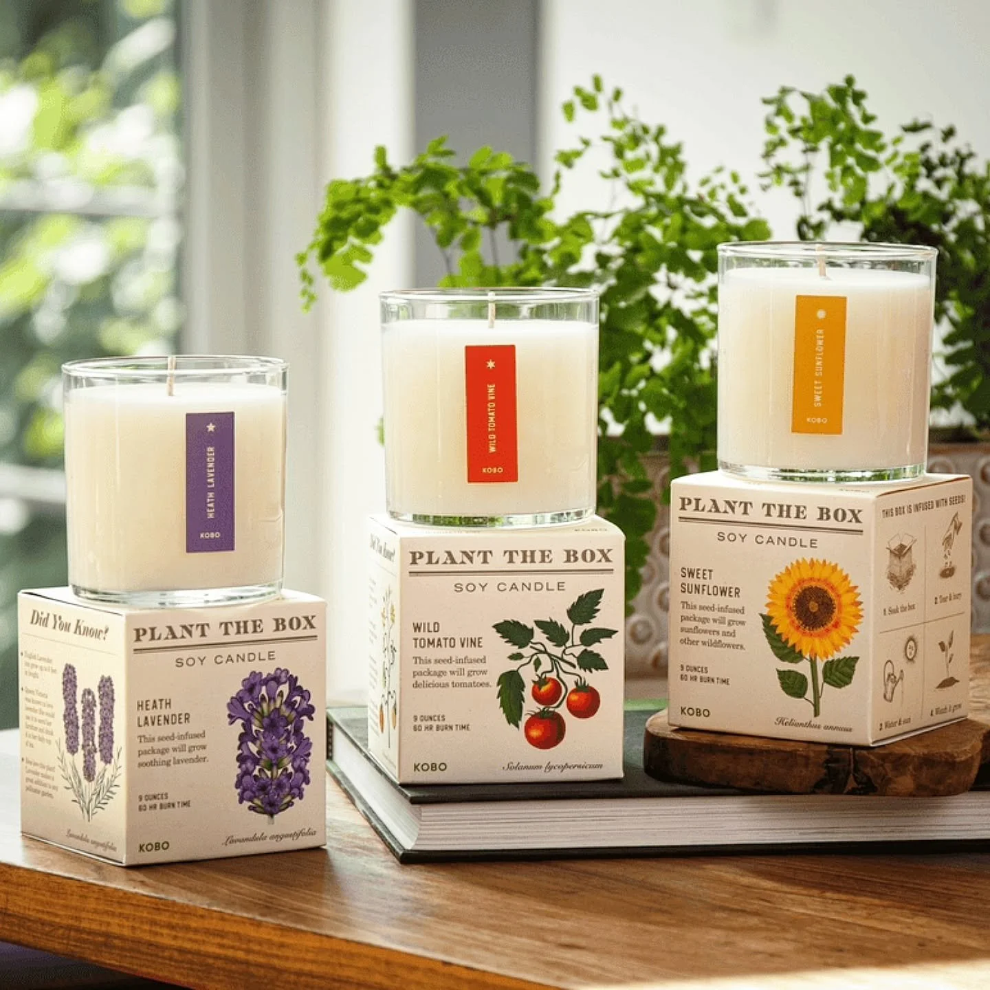 A Mother's Day gift that's keeps on growing 🌱🌼🪻 Our new candles from @kobocandles feature fresh, garden-inspired scents and seed-infused boxes you can plant after unboxing! A thoughtful gift that can be enjoyed long after the candle is gone 💗