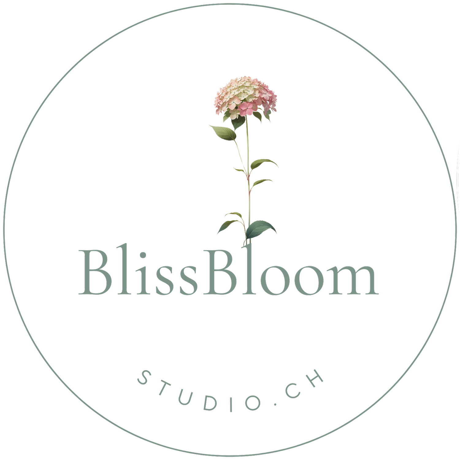 BlissBloomStudio
