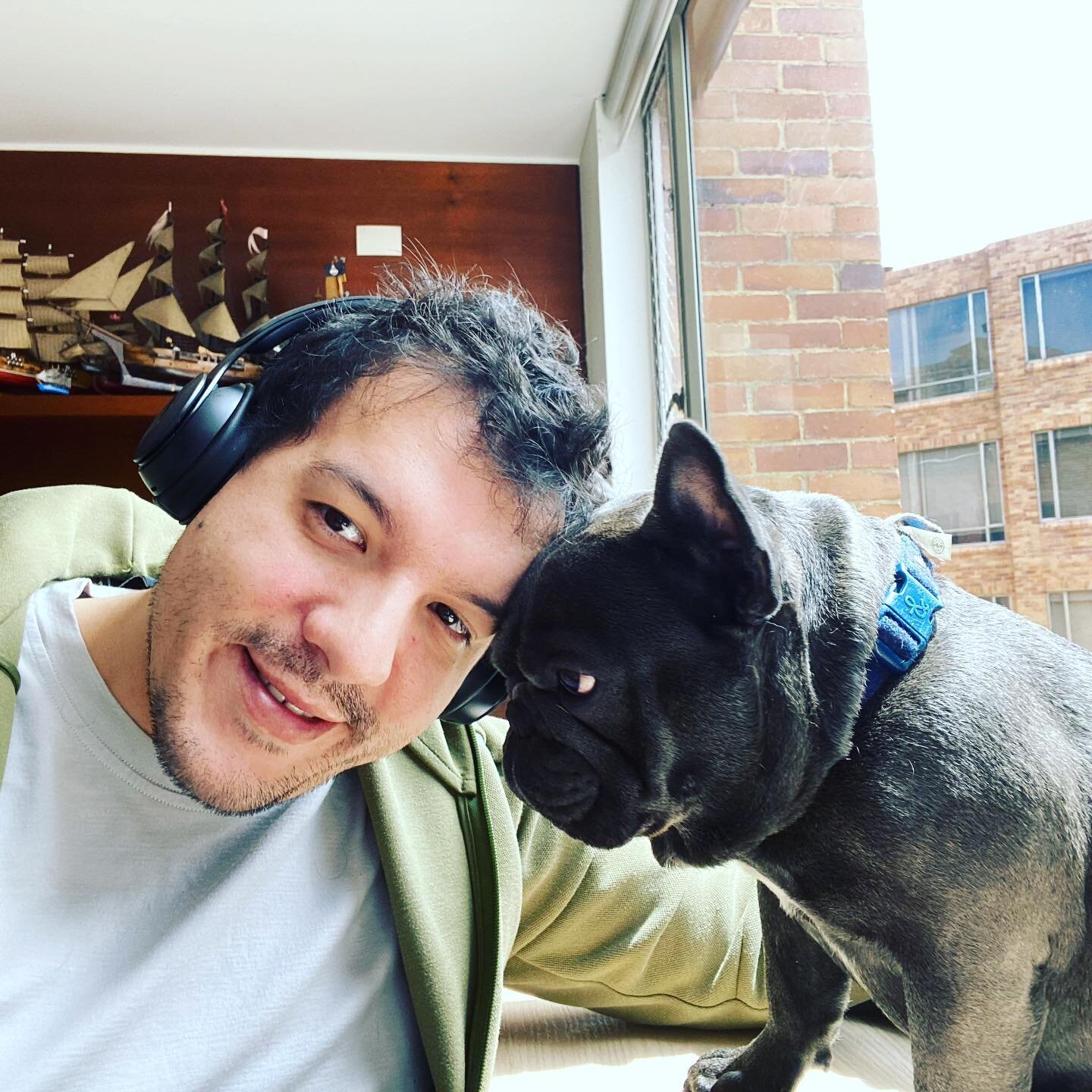 Sunny days in quarantine times... @isara_nassar #stayhome #staysafe #familytime #dogsofinstagram #bulldogsofinstagram #frenchbulldog #frenchiesofinstagram #homeoffice #mequedoencasa #oficinaencasa