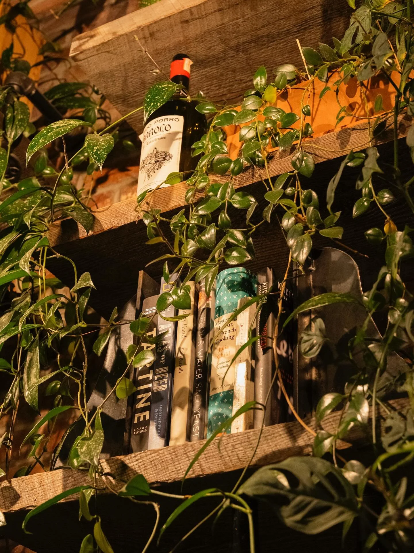 It is all about the ambiance ✨🌿🍷
Did you know that every one of our plants is real?!