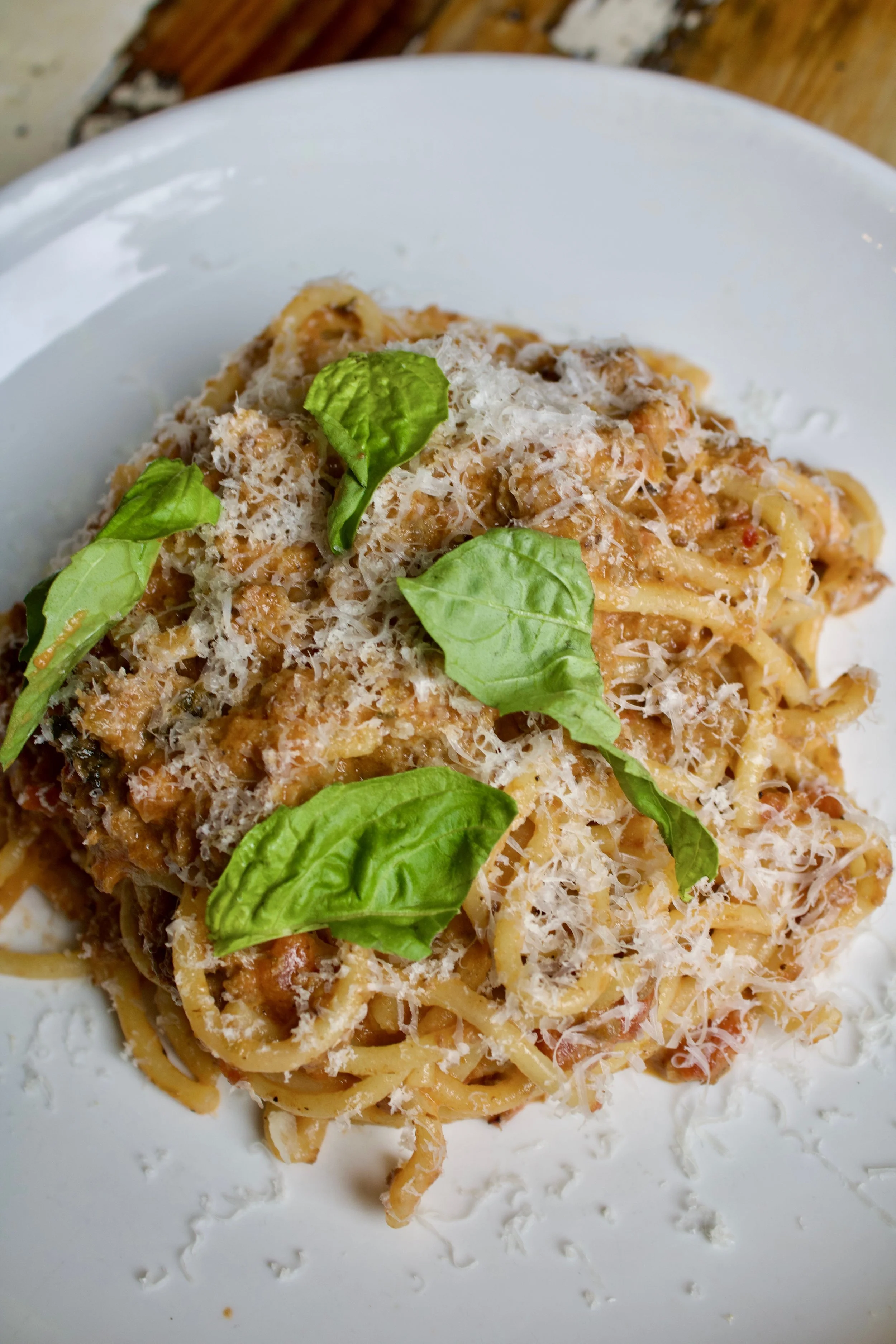 Bison bolognese 