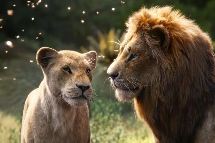 Oscar winner Barry Jenkins to direct live action Lion King sequel