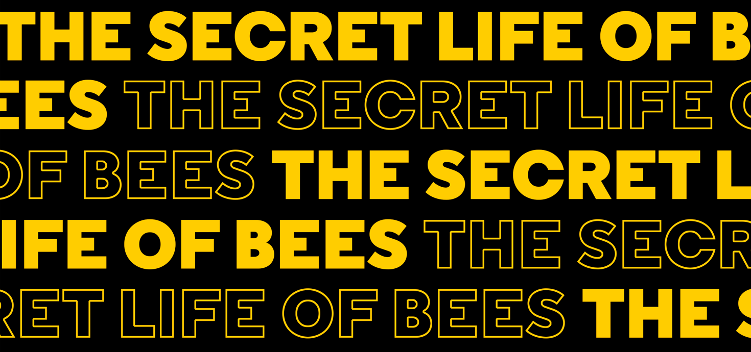 Initial casting announced for new musical THE SECRET LIFE OF BEES at Almeida Theatre