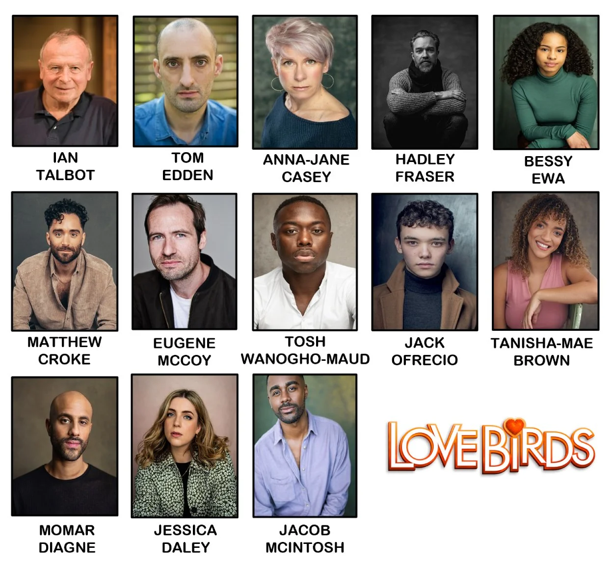 Workshop and industry showcase announced for new family musical LOVE BIRDS