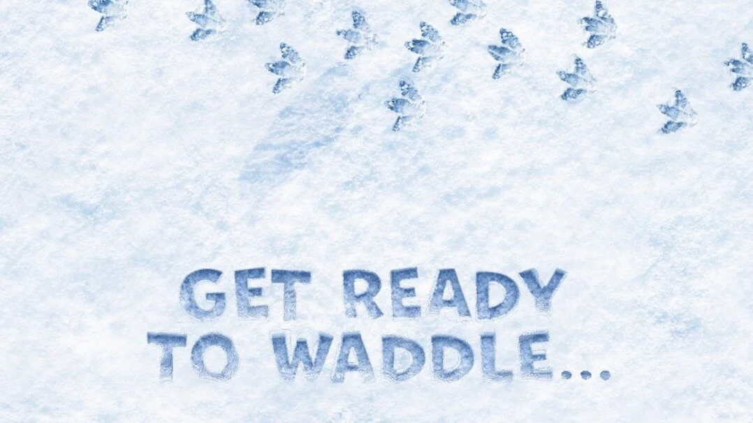 HAPPY FEET to be developed into new musical for the stage