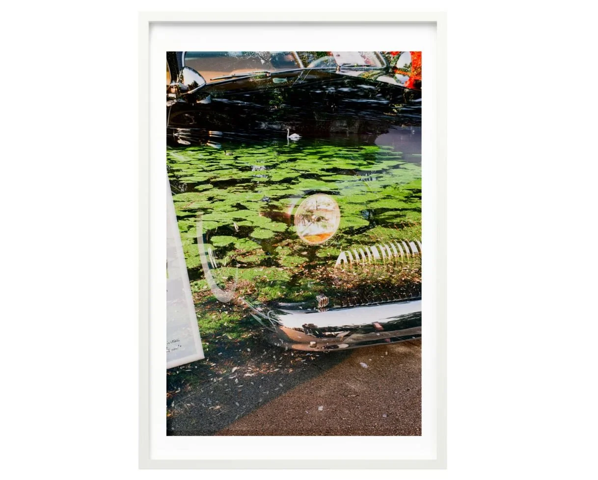Untitled design-4.jpg