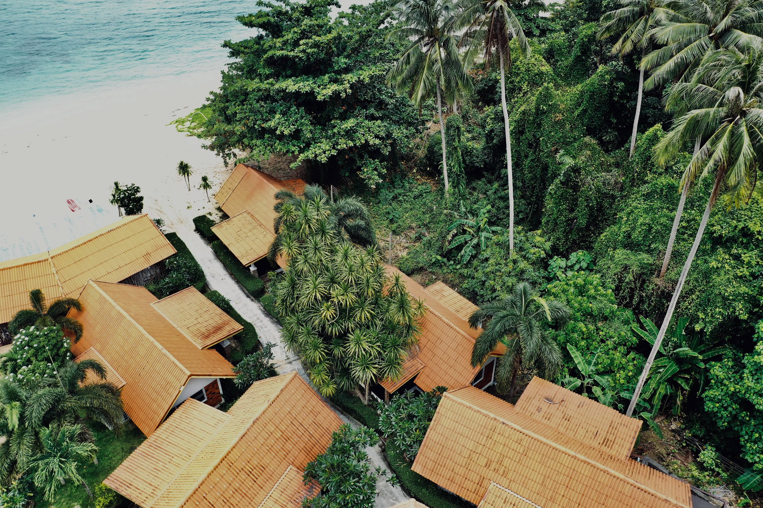 kla-aphimuk-eMZpB9tvxXA-unsplash.jpg