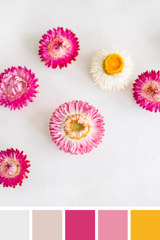 SeaGlass Studio Color Palette 2.png