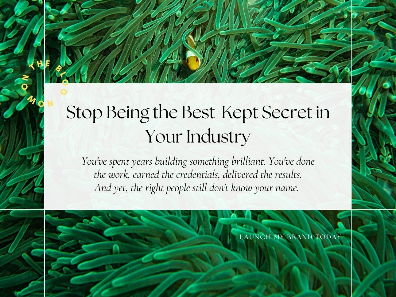 Stop Being the Best-Kept Secret in Your Industry
