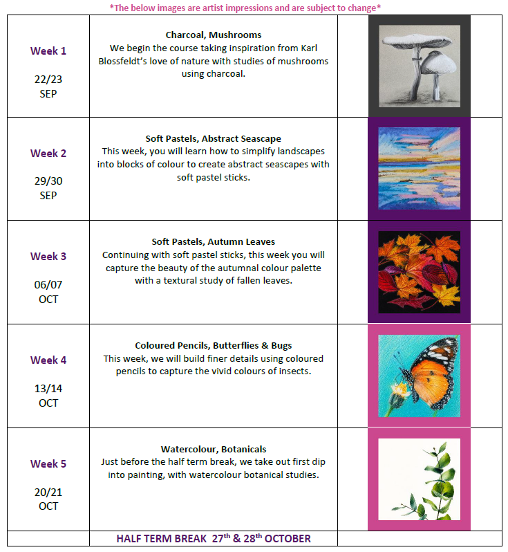 Curriculum Screenshot I.png