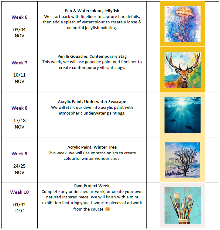 Curriculum Screenshot II.png