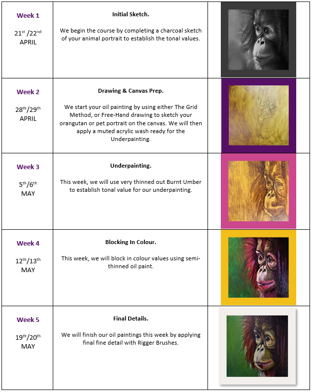 Curriculum Screenshot.png