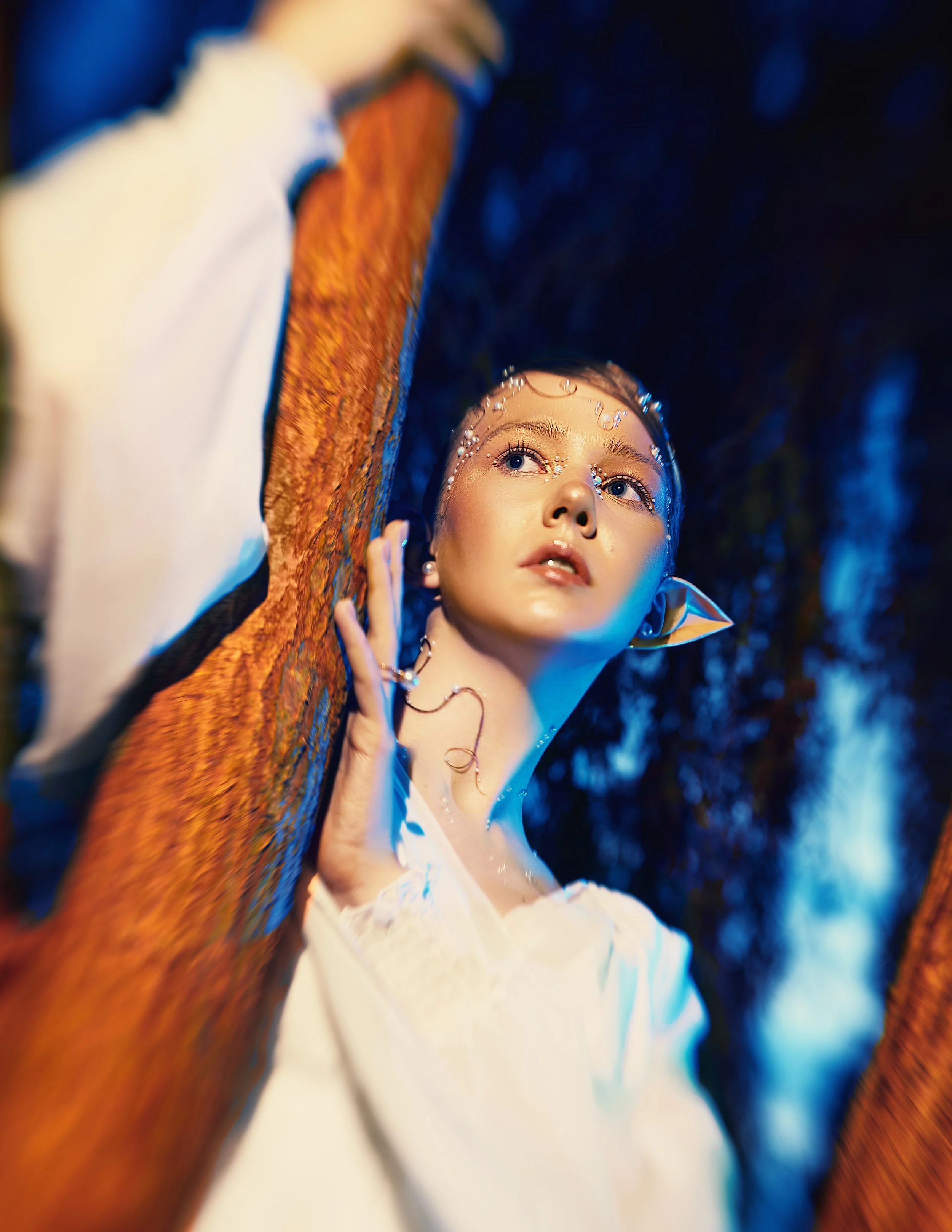 AN ELF