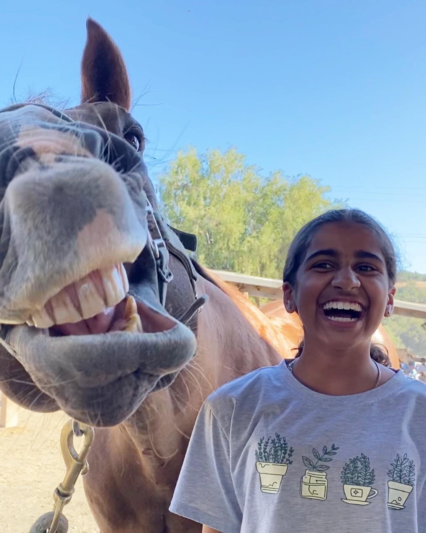 🎶 &ldquo;A horse is a horse, of course, of course&hellip; 🎶
 Smarty and Kenza shared a hilarious joke together&hellip; 😂🐴
.
#joy #laughter #jokes #horsehumor #mred