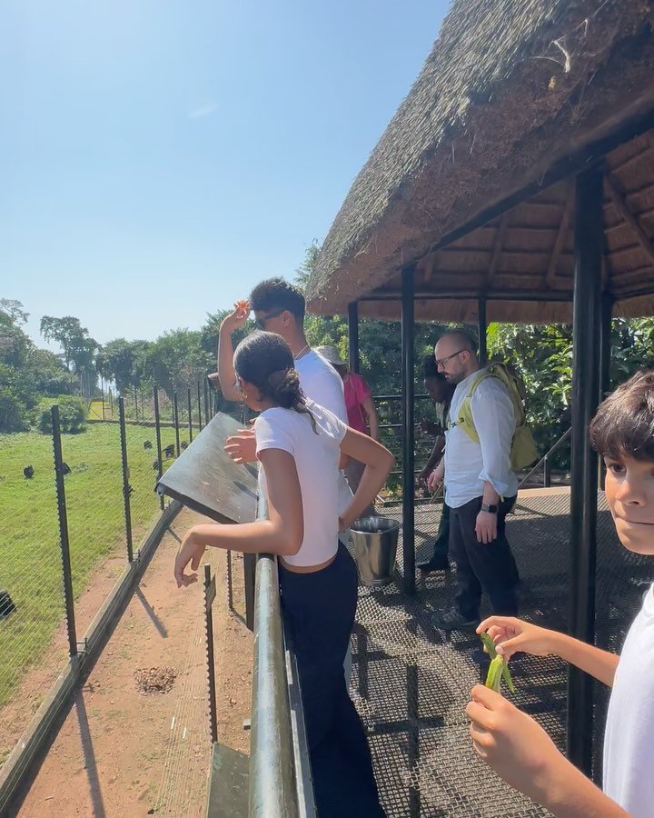 🇺🇬 Back in Entebbe, we had the profound opportunity to visit Ngamba Island, home to an incredible NGO dedicated to protecting chimpanzees. It was a complex experience that truly centered us on our own humanity. Feeding these intelligent beings, whi