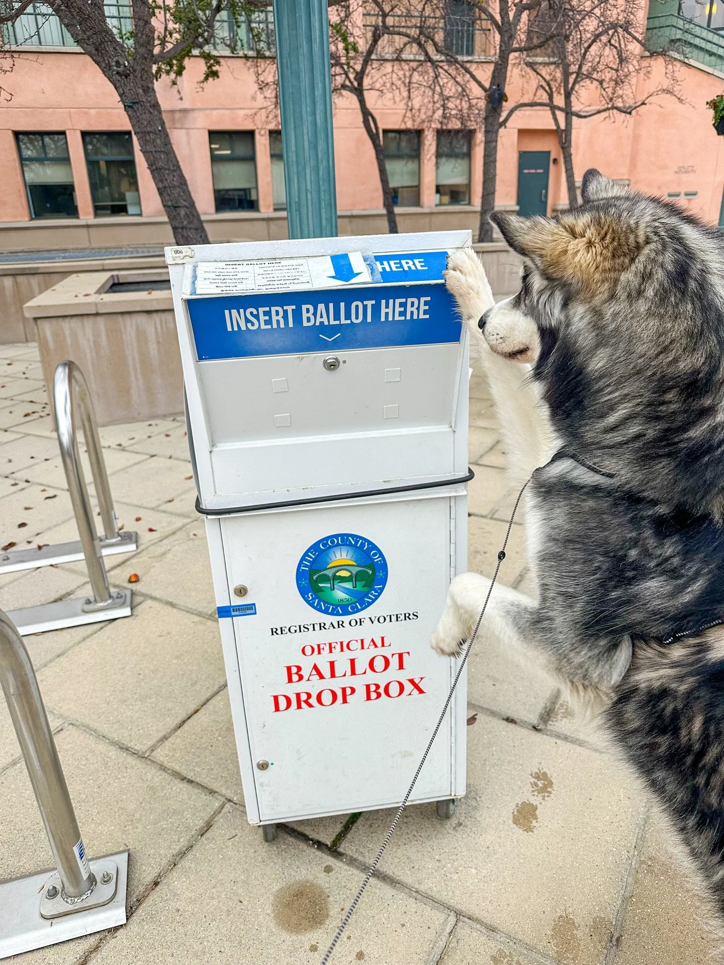 🗳️ Voted!
✅ YES on Measure A
✅ YES on Prop 50
#vote