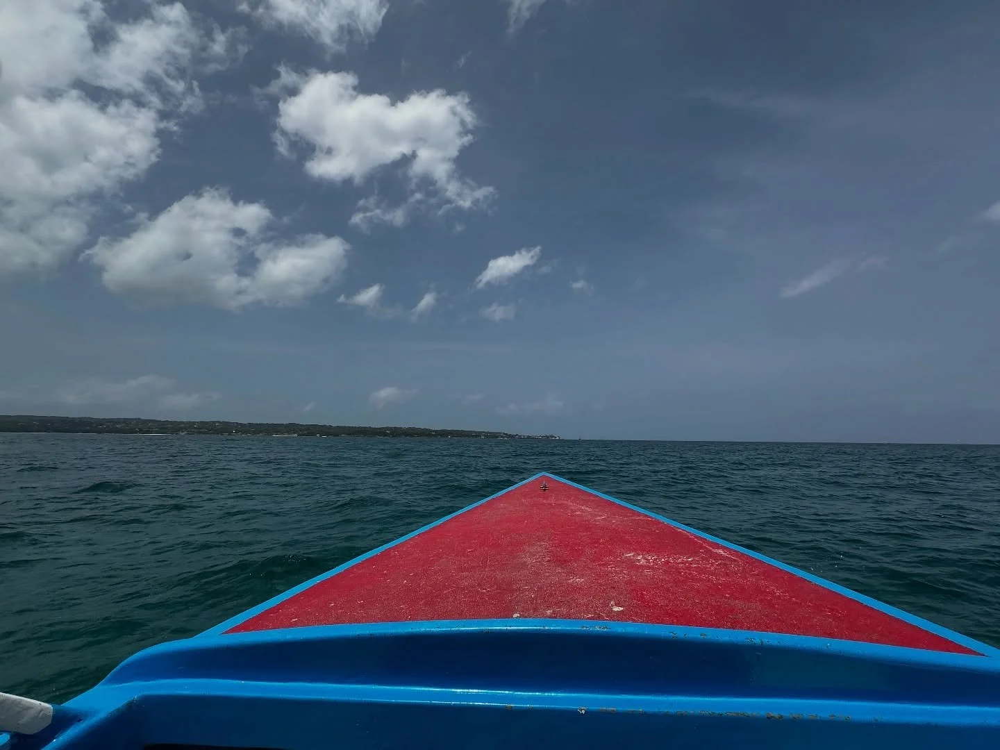 Glass bottom boat with @famous_vincent_tour and some of the best snorkeling we&rsquo;ve done! 😢 No snorkeling pics but we saw so much stuff! 
.
#negril #jamaica #caribbean