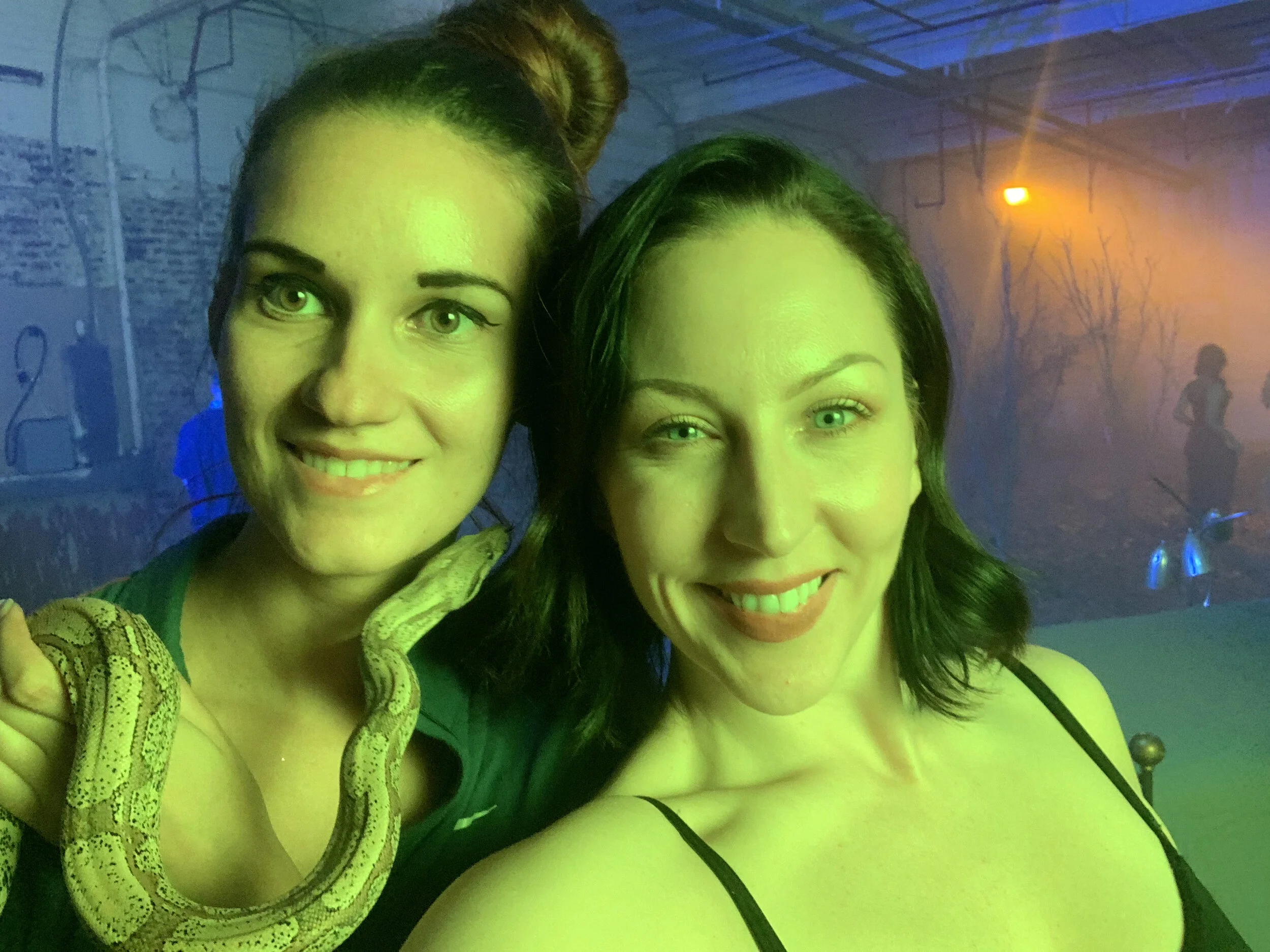 "Mirage" The Boa Contrictor for "Serpent"