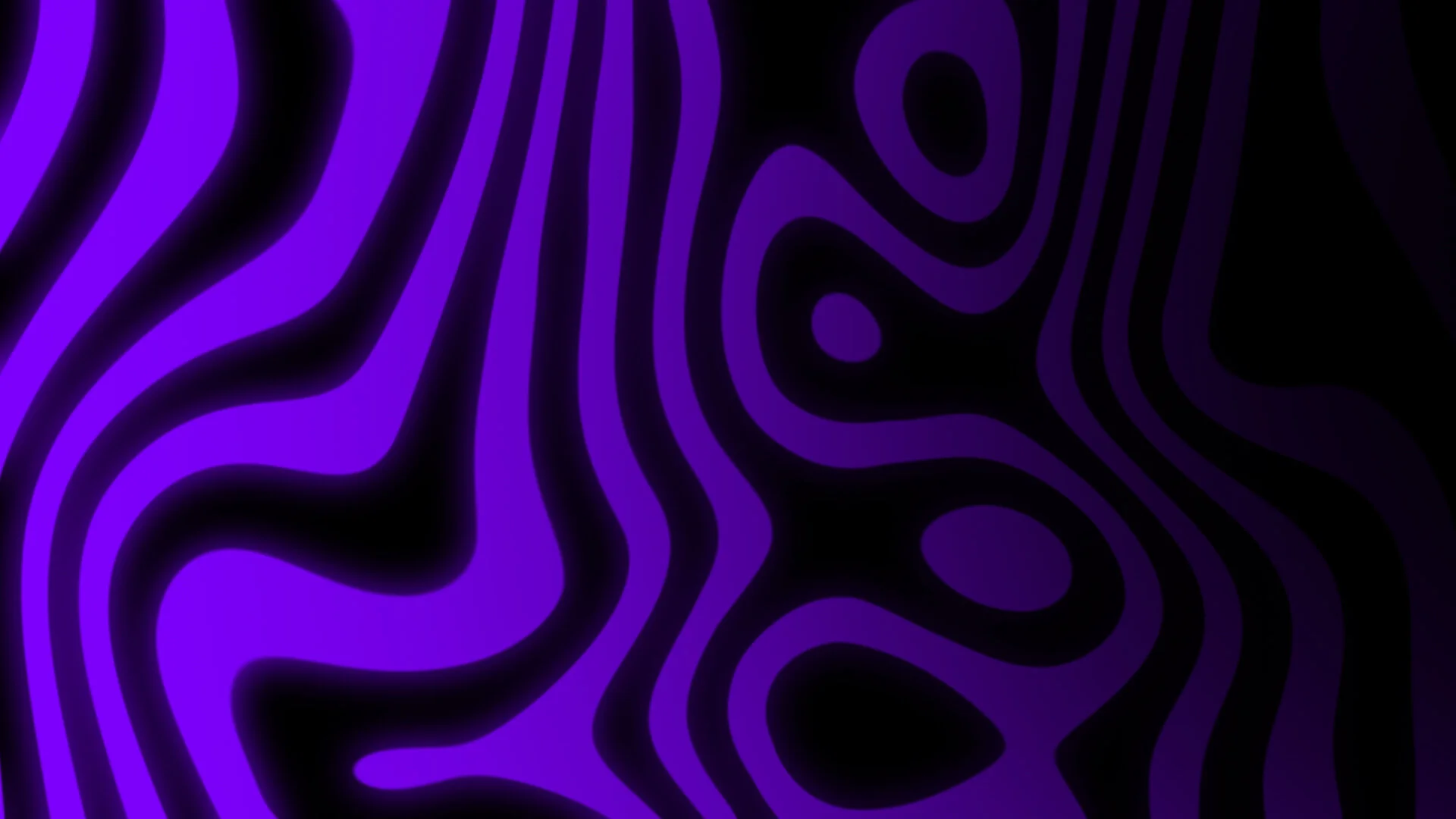 purple wavy fallback image.jpg
