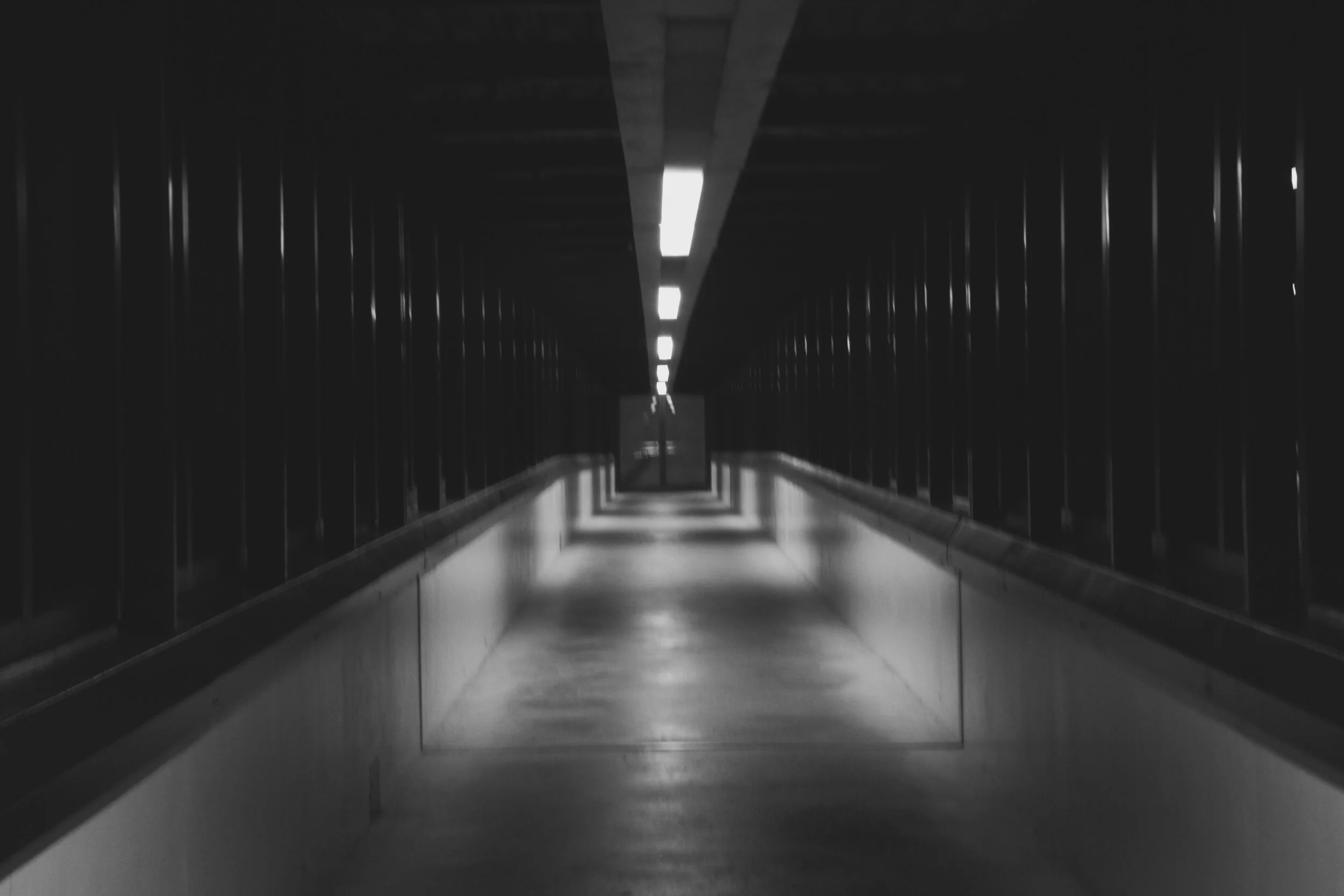 IMG_7603.jpeg