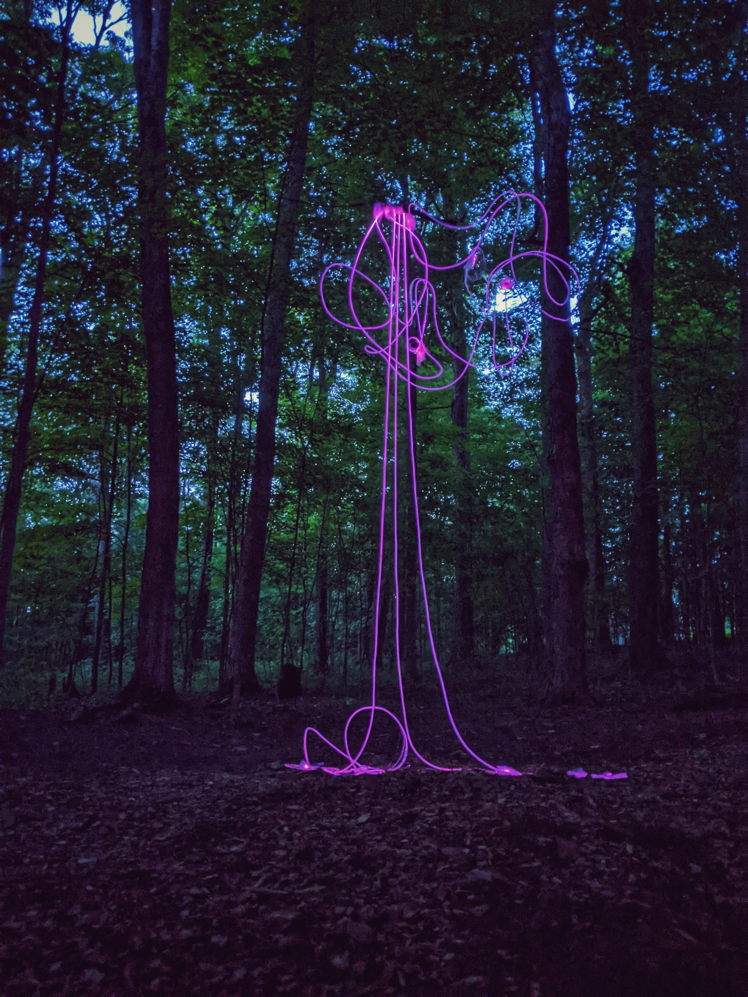 annie-mitchell-clavaria-light-sculpture9.jpeg