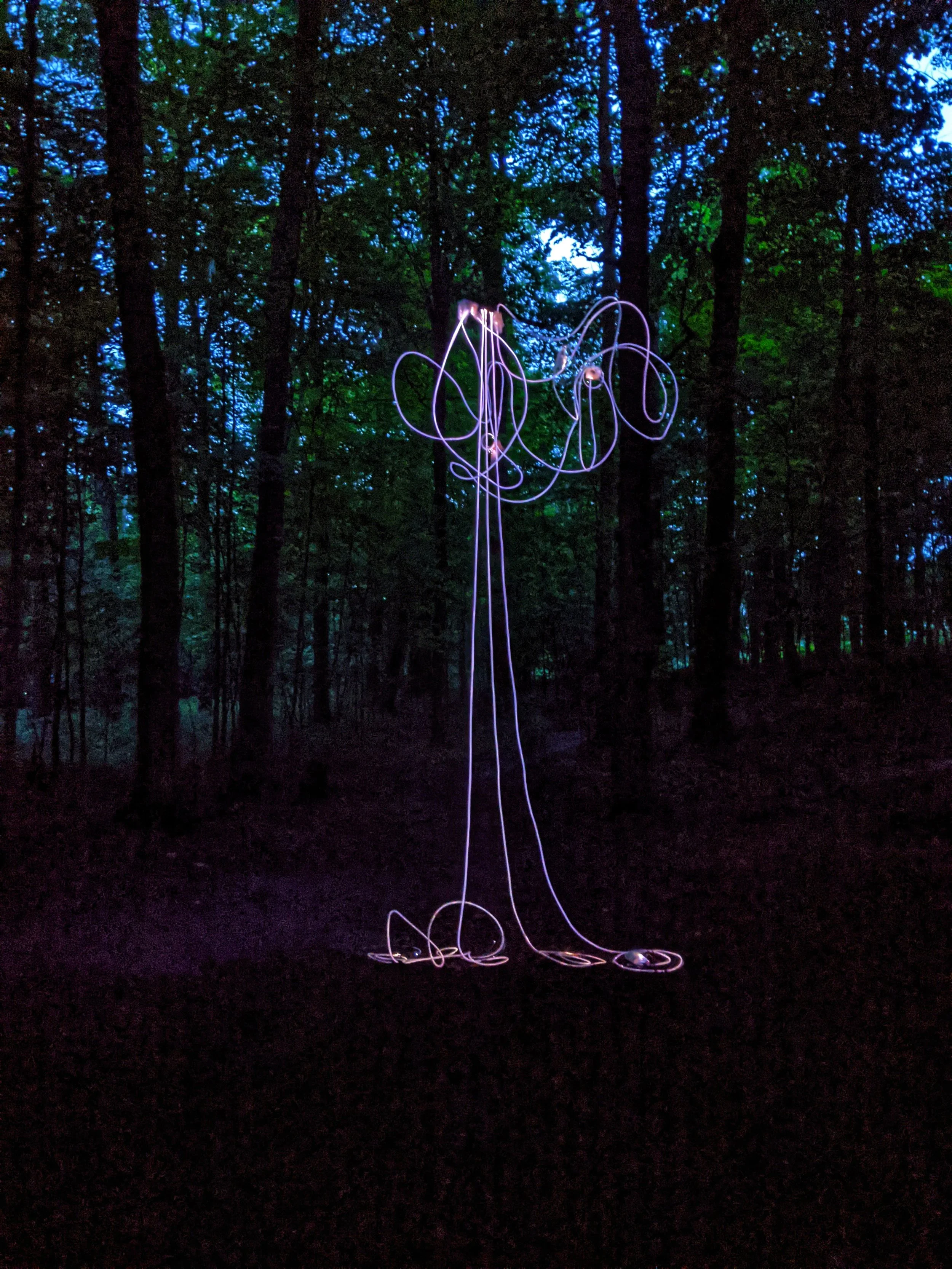 annie-mitchell-clavaria-light-sculpture5.jpeg