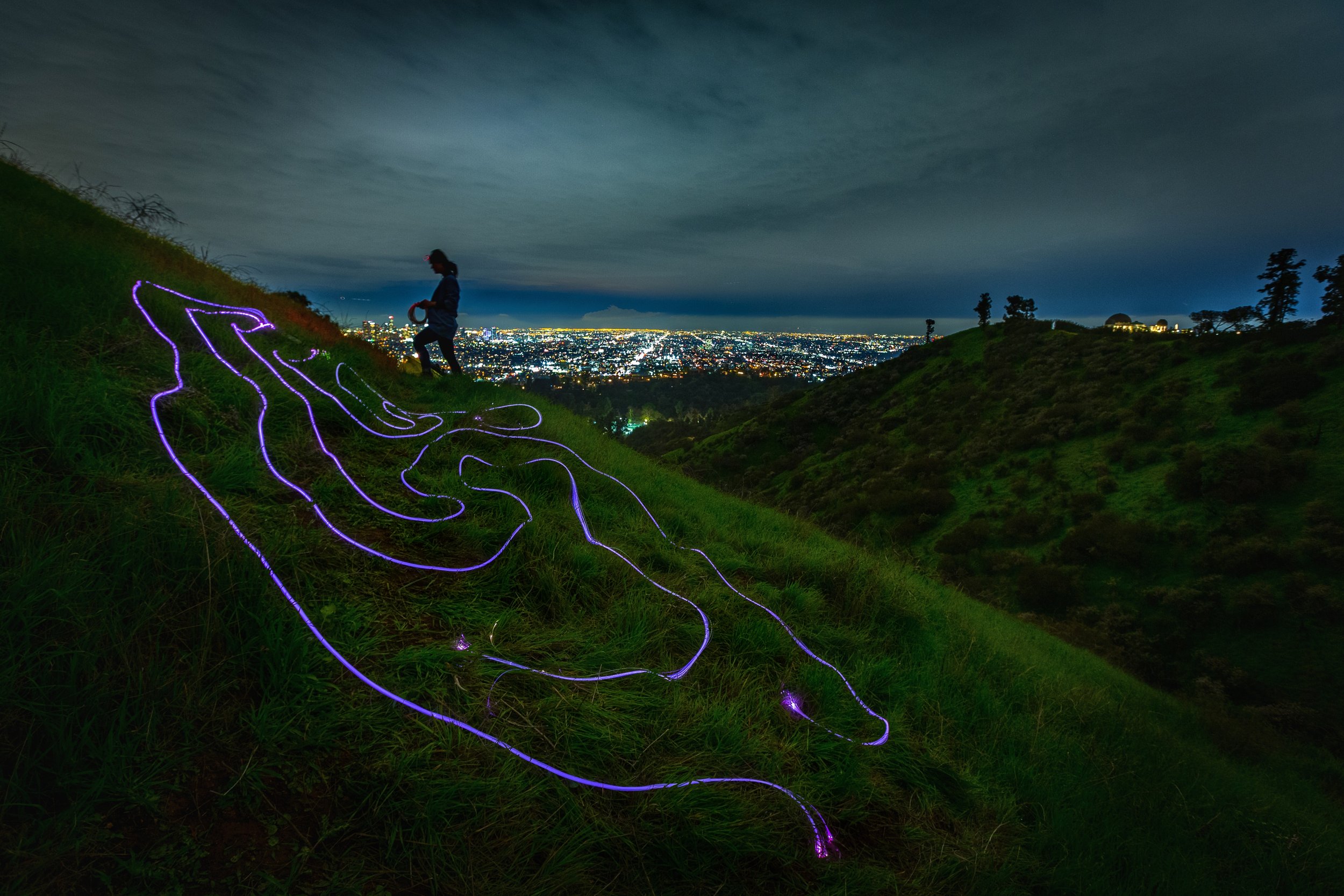 Annie_Mitchell-Griffith_Park_Hyphae--2.jpeg