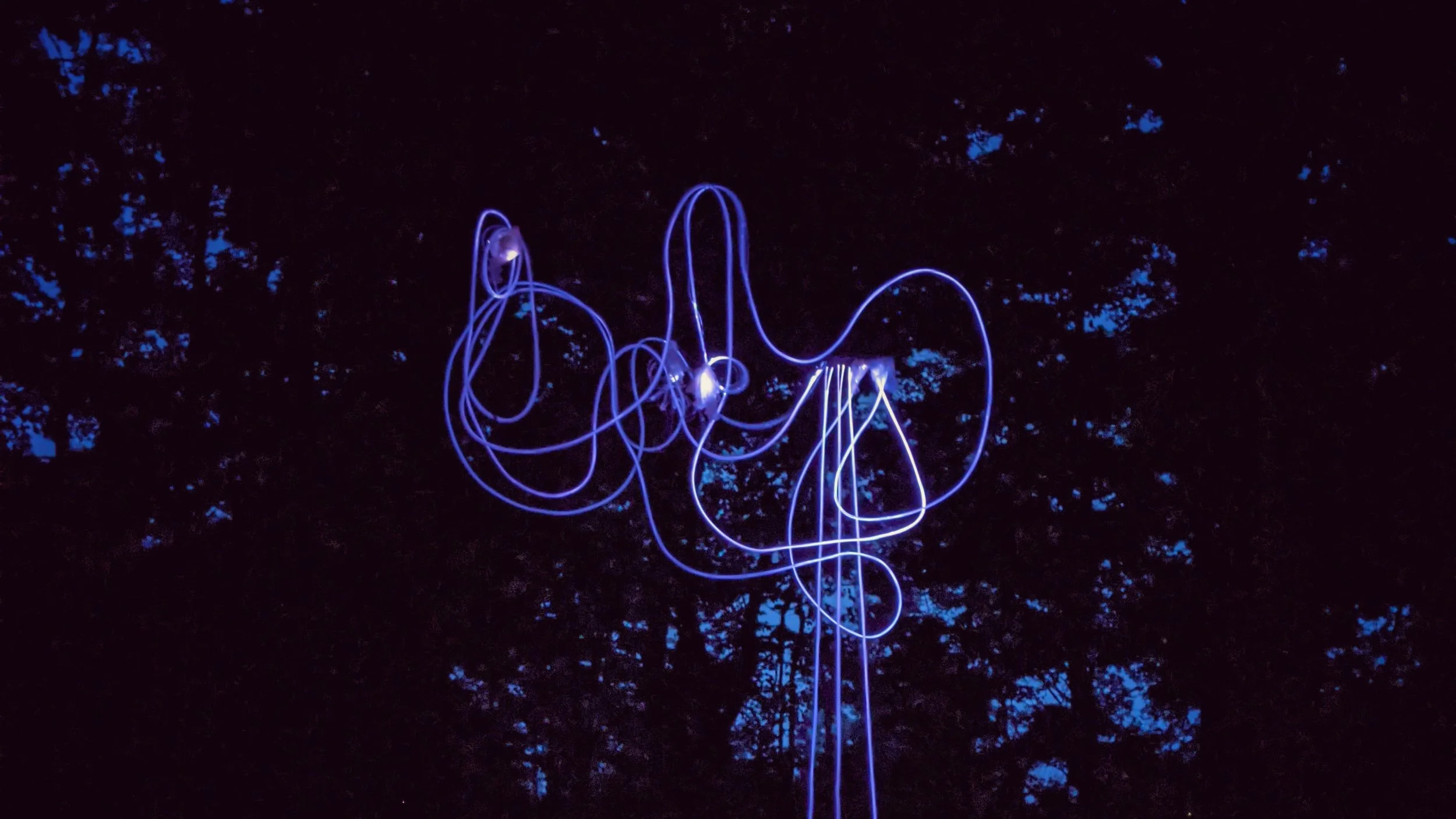 annie-mitchell-clavaria-light-sculpture8.jpeg