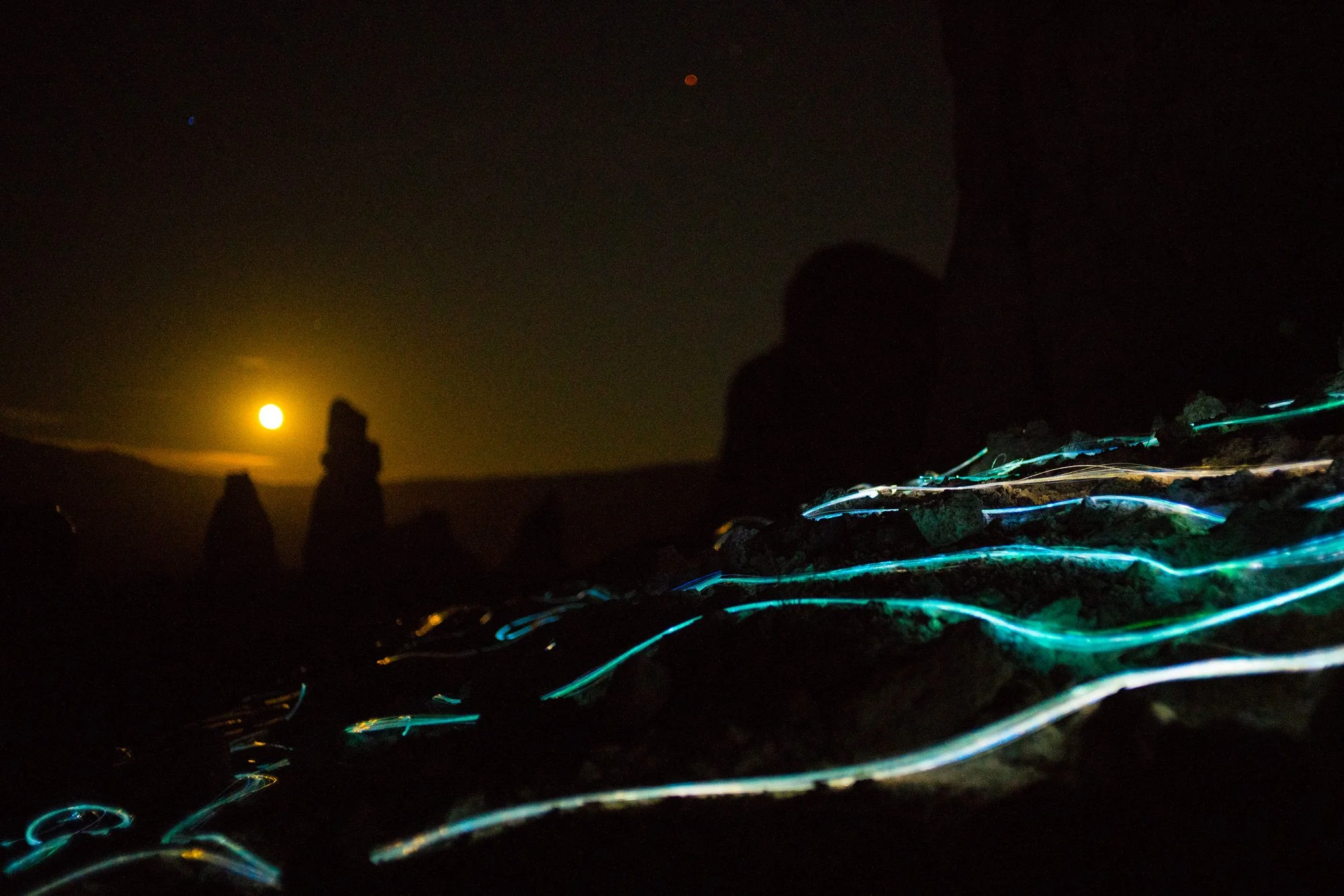 Annie_Mitchell-Trona-photobyTom_Clancey_DSC6135.jpg