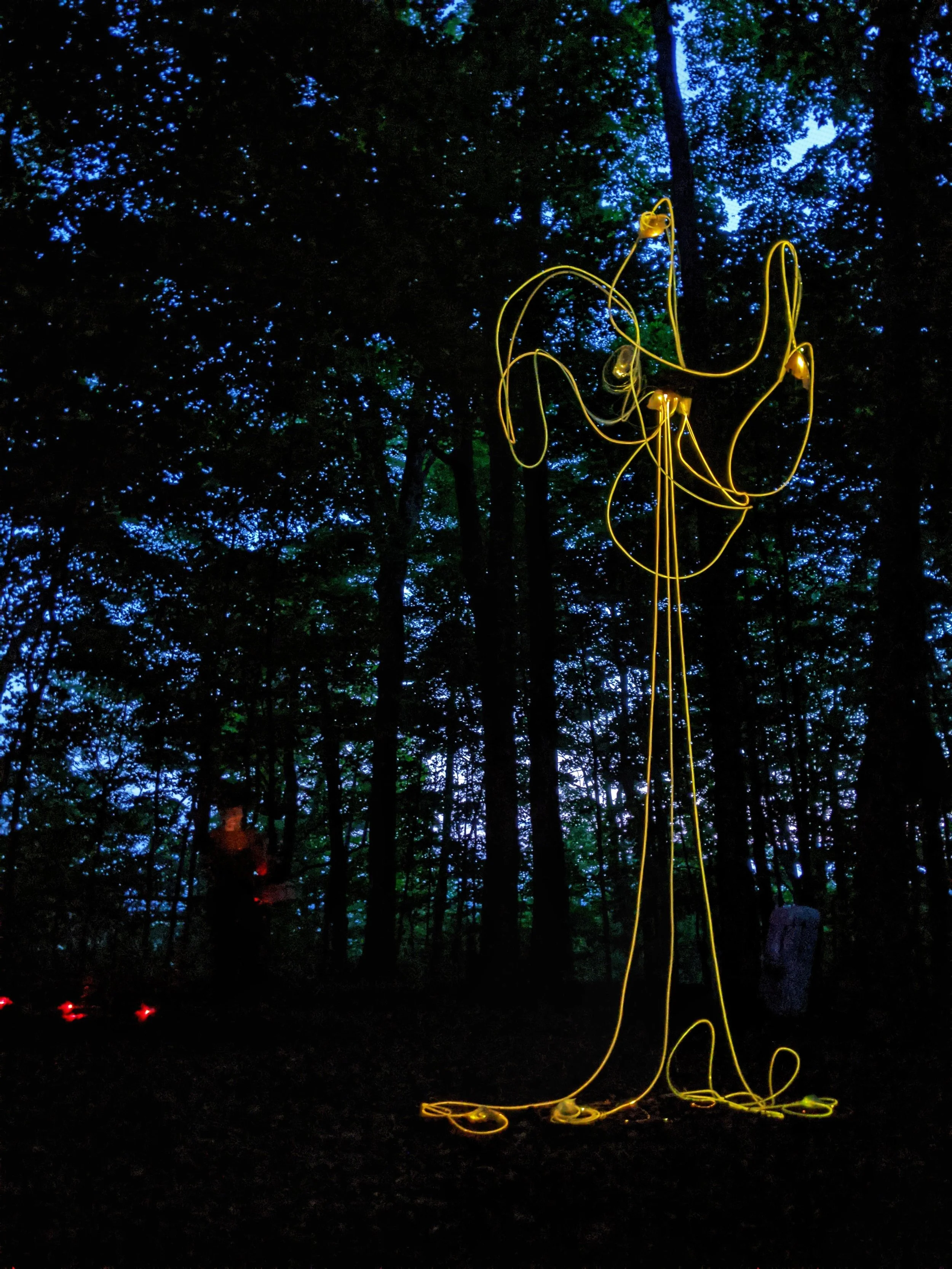 annie-mitchell-clavaria-light-sculpture10.jpeg