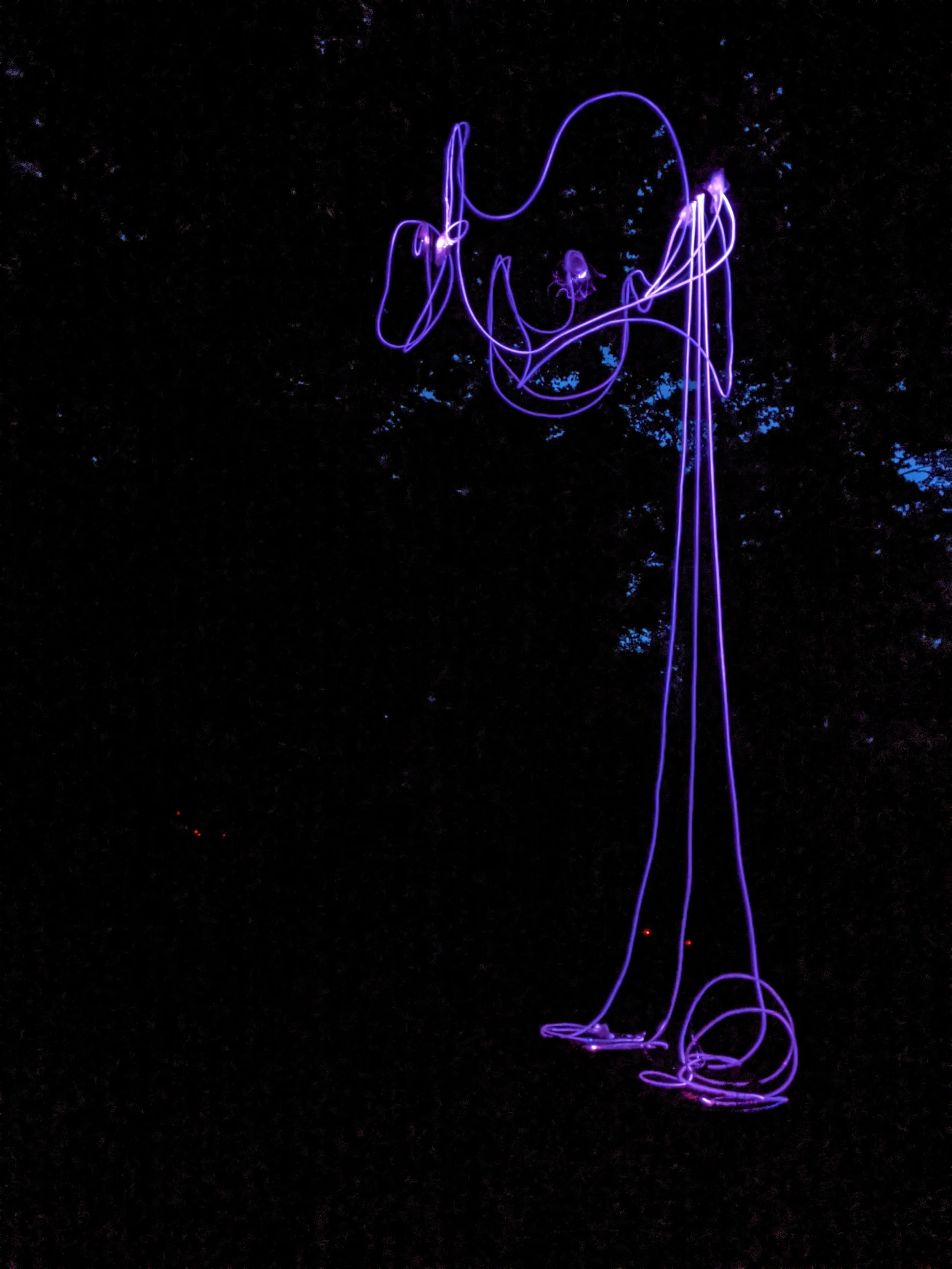 annie-mitchell-clavaria-light-sculpture2.jpeg