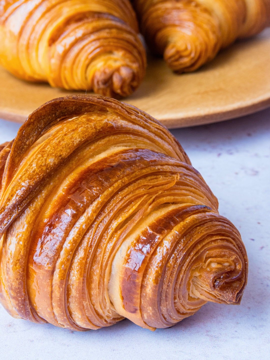 Ready to Bake Croissants