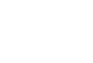 Blue Sparrow Salon