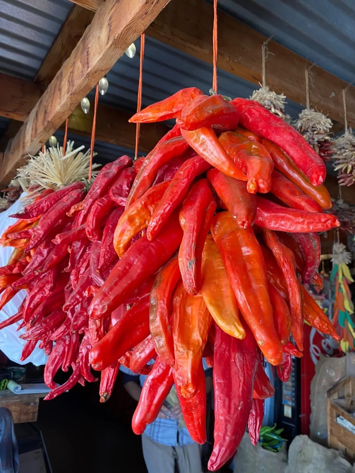  New Mexican Red Chiles (📸 @erictheawkwardscone) 