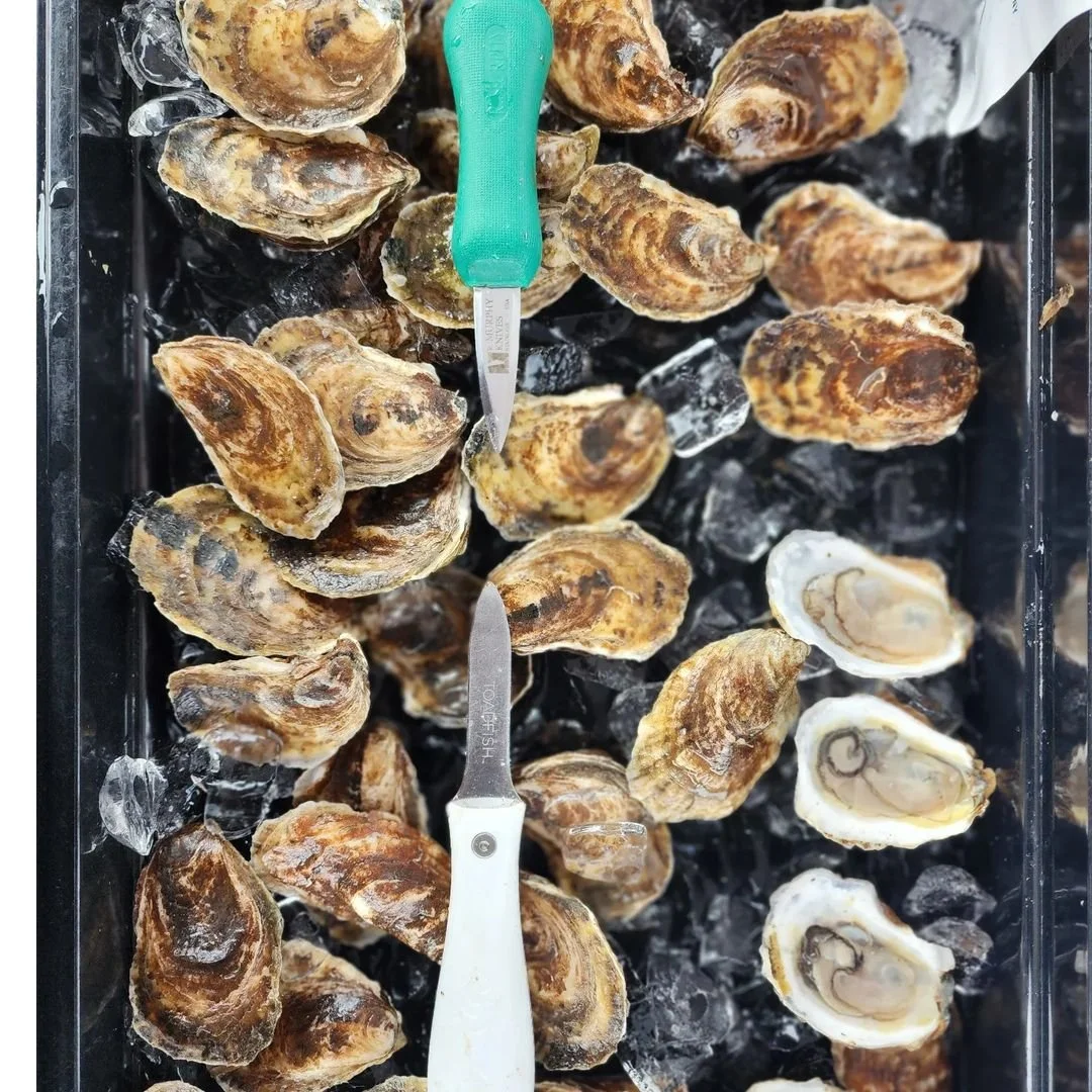 đ¸: @flatbushoysterco