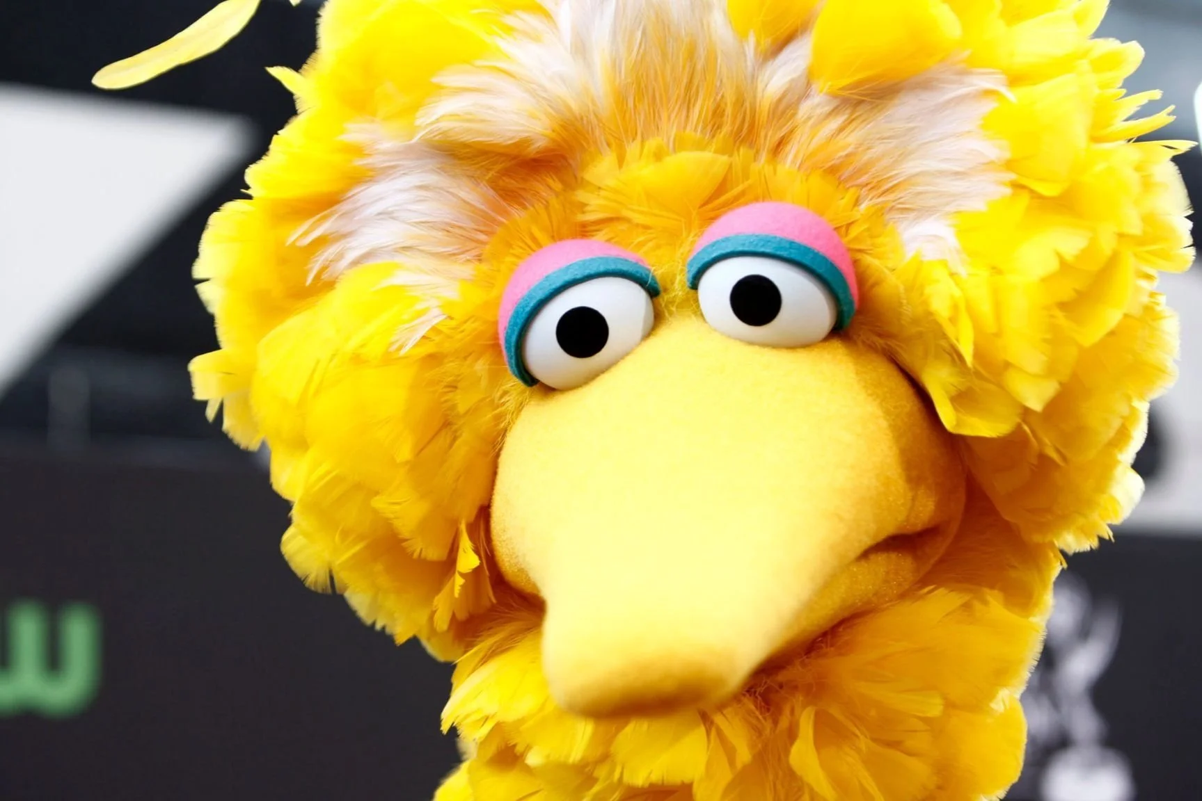 Great Power Politics, plus Big Bird
