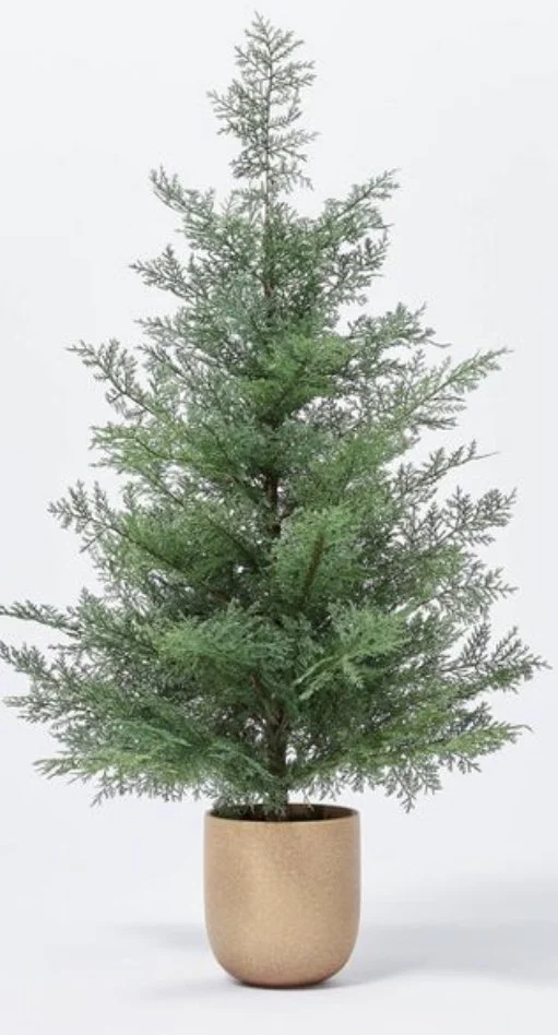 Pine Tree In Ceramic Pot