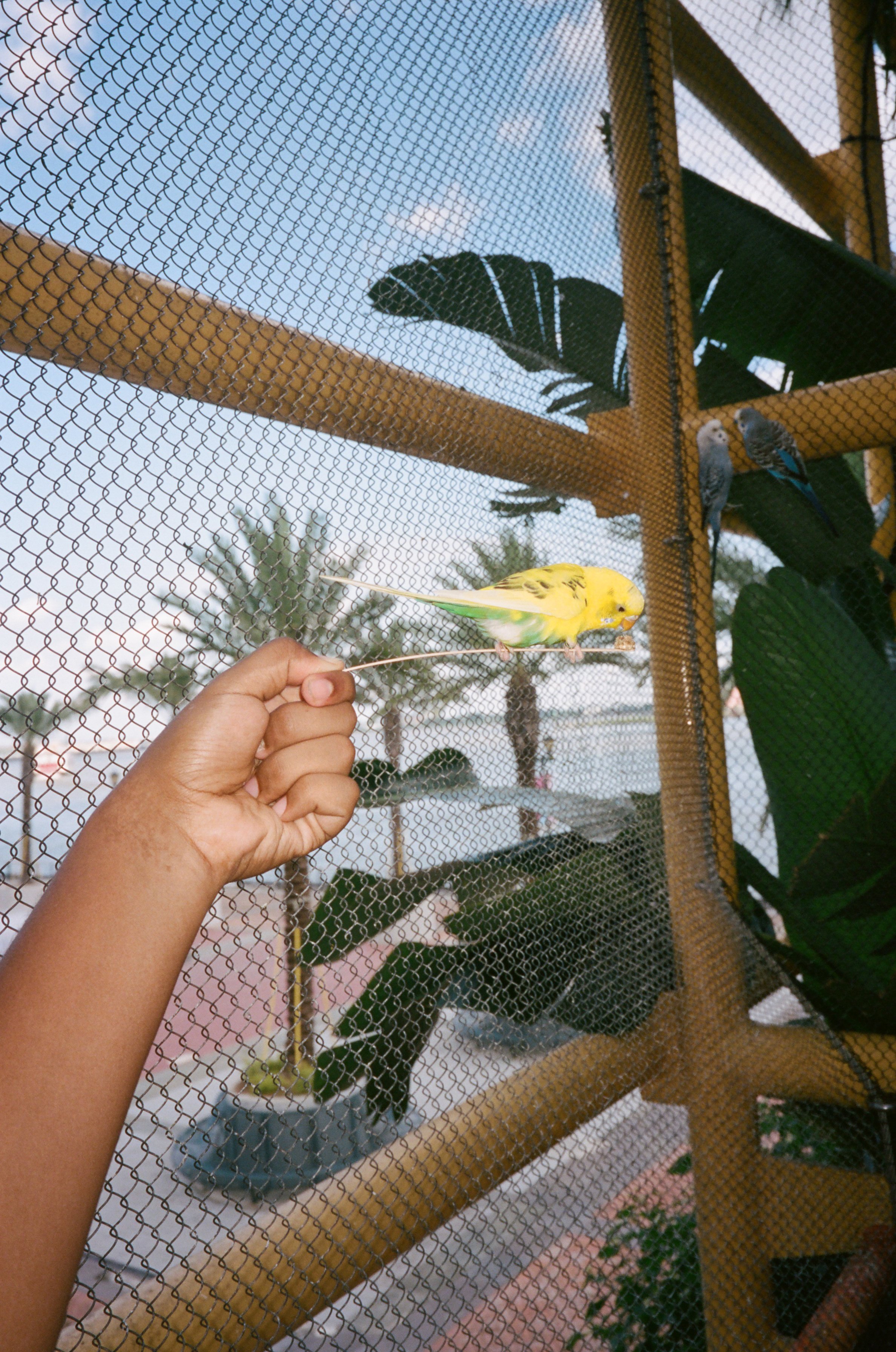 49270013.JPG