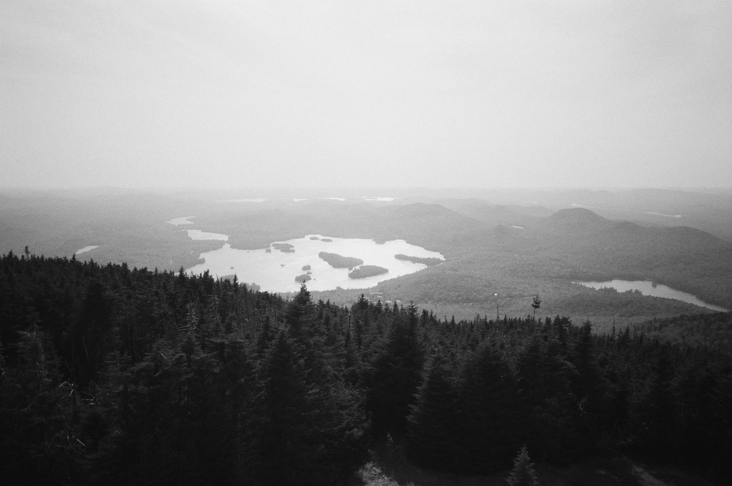 41430018_V1.png
